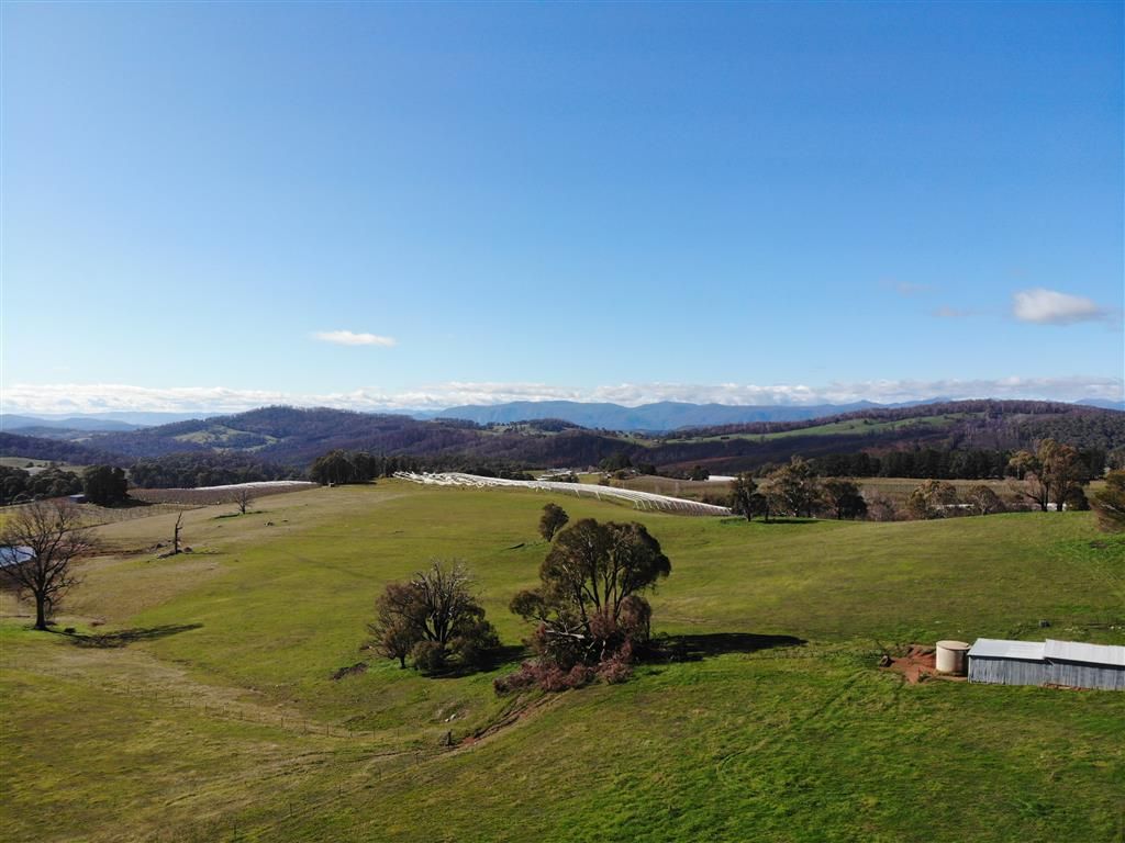 106 Old Tumbarumba Road, Batlow, NSW 2730