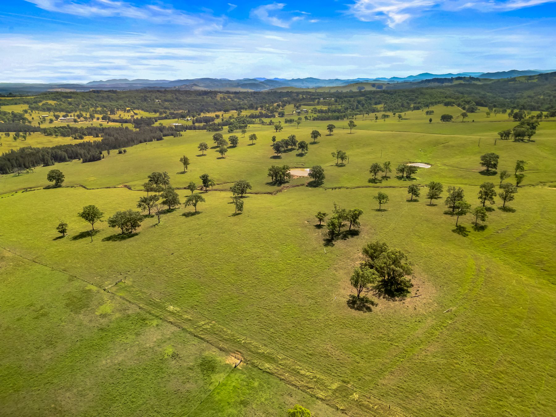 Singleton, NSW 2330 - Sold Rural Lifestyle Property - Ray White Singleton