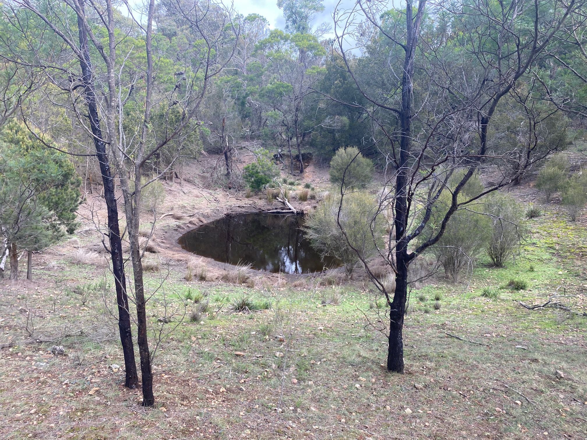 226 Willow Glen Road, Goulburn, NSW 2580