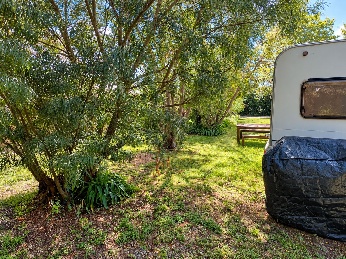 Photo 7 of 87 Opaki Road, Lansdowne, Masterton