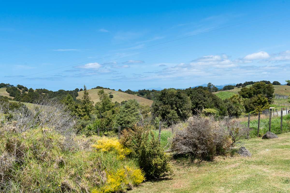 155 Te Toiroa Road photo 29