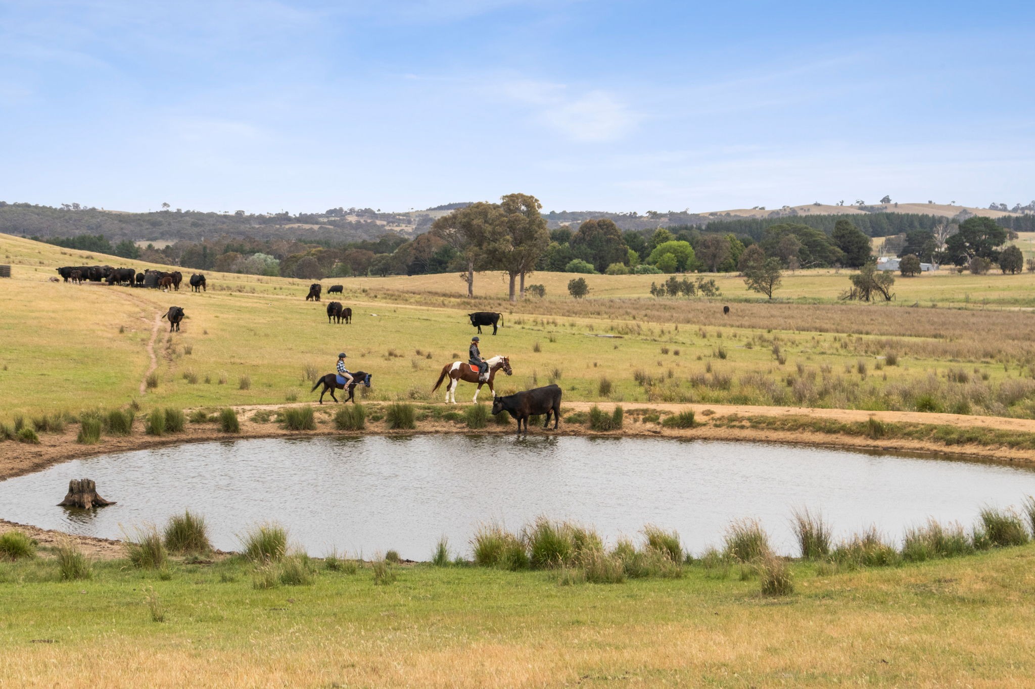 "Springhill" 959 Spring Range Road, Springrange, NSW 2618