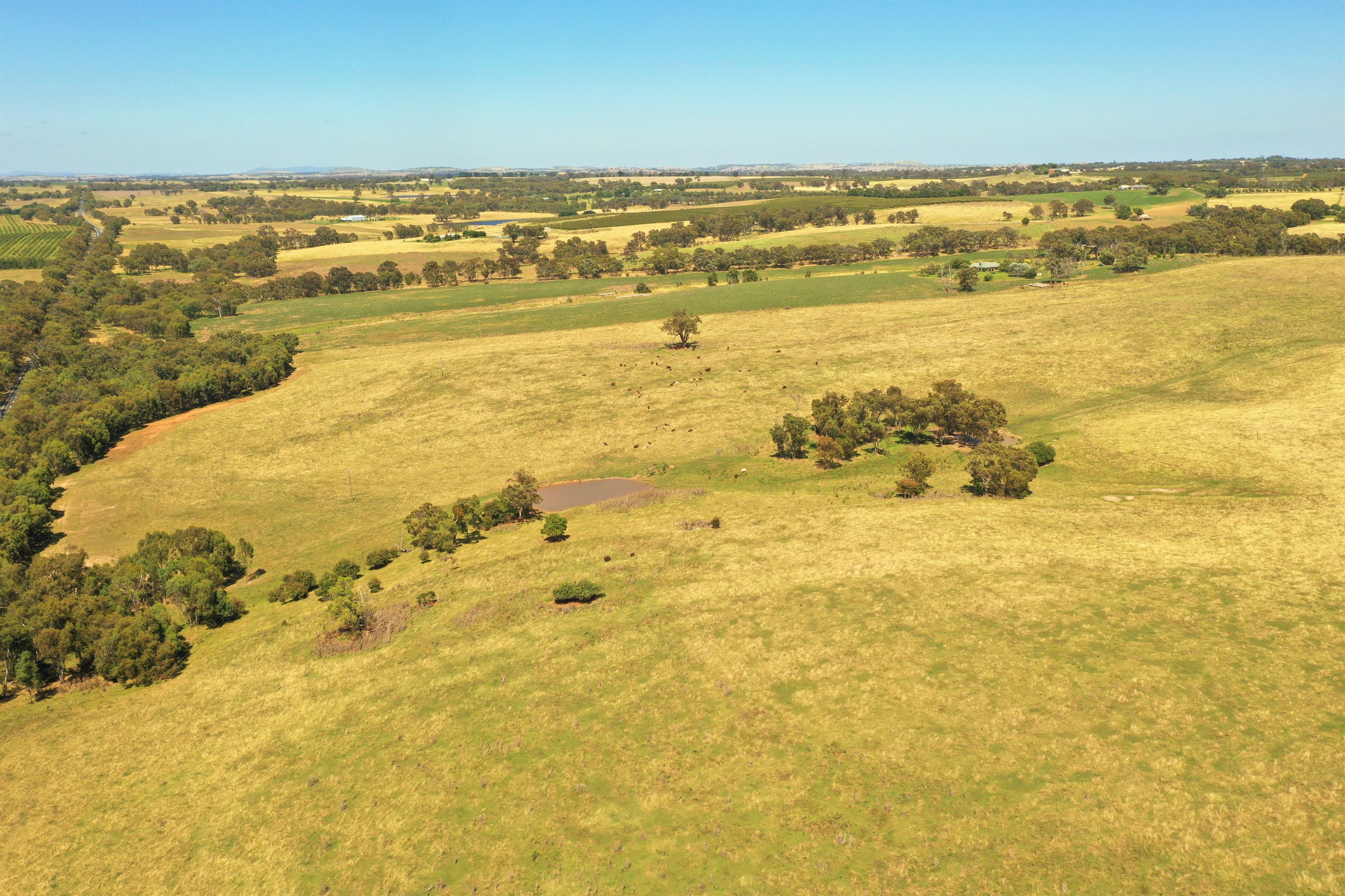 Lots 82, 83 & 84 Olympic Highway, Wombat, NSW 2587 Land for Sale