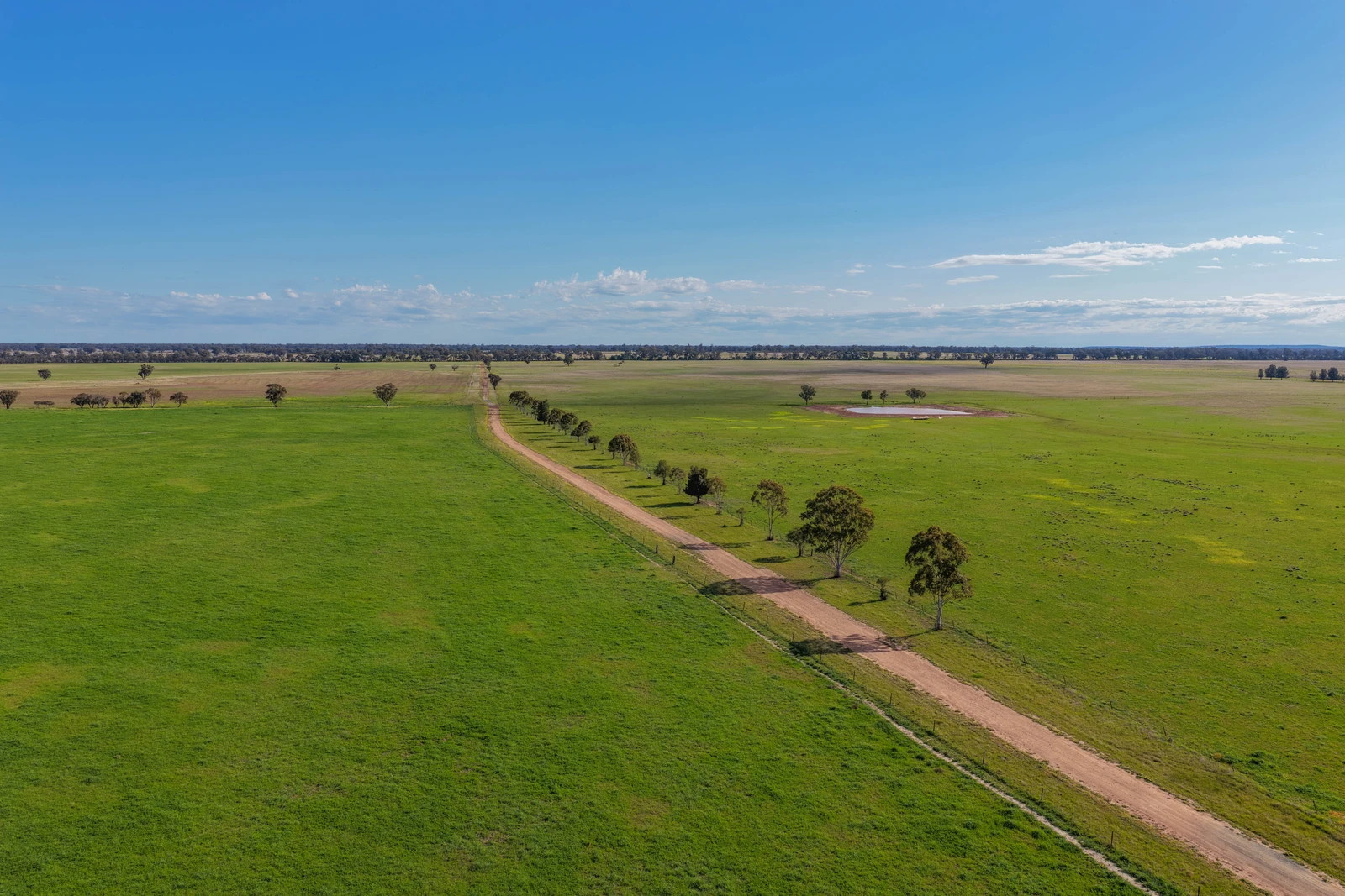 536 Wyrra Lane, West Wyalong, NSW 2671