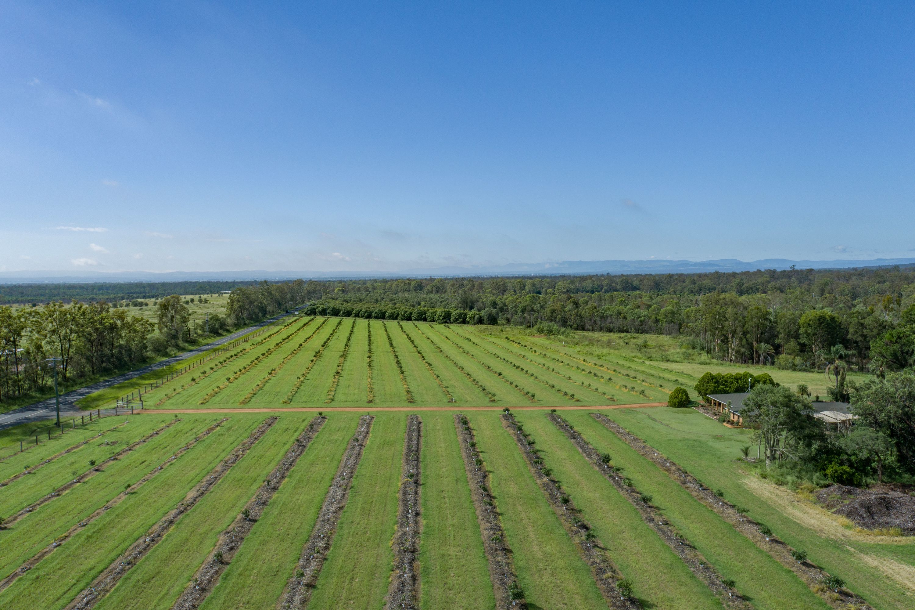 "Pinnacle Farms" 1411 Gatton Esk Road, Spring Creek, QLD 4343 Rural