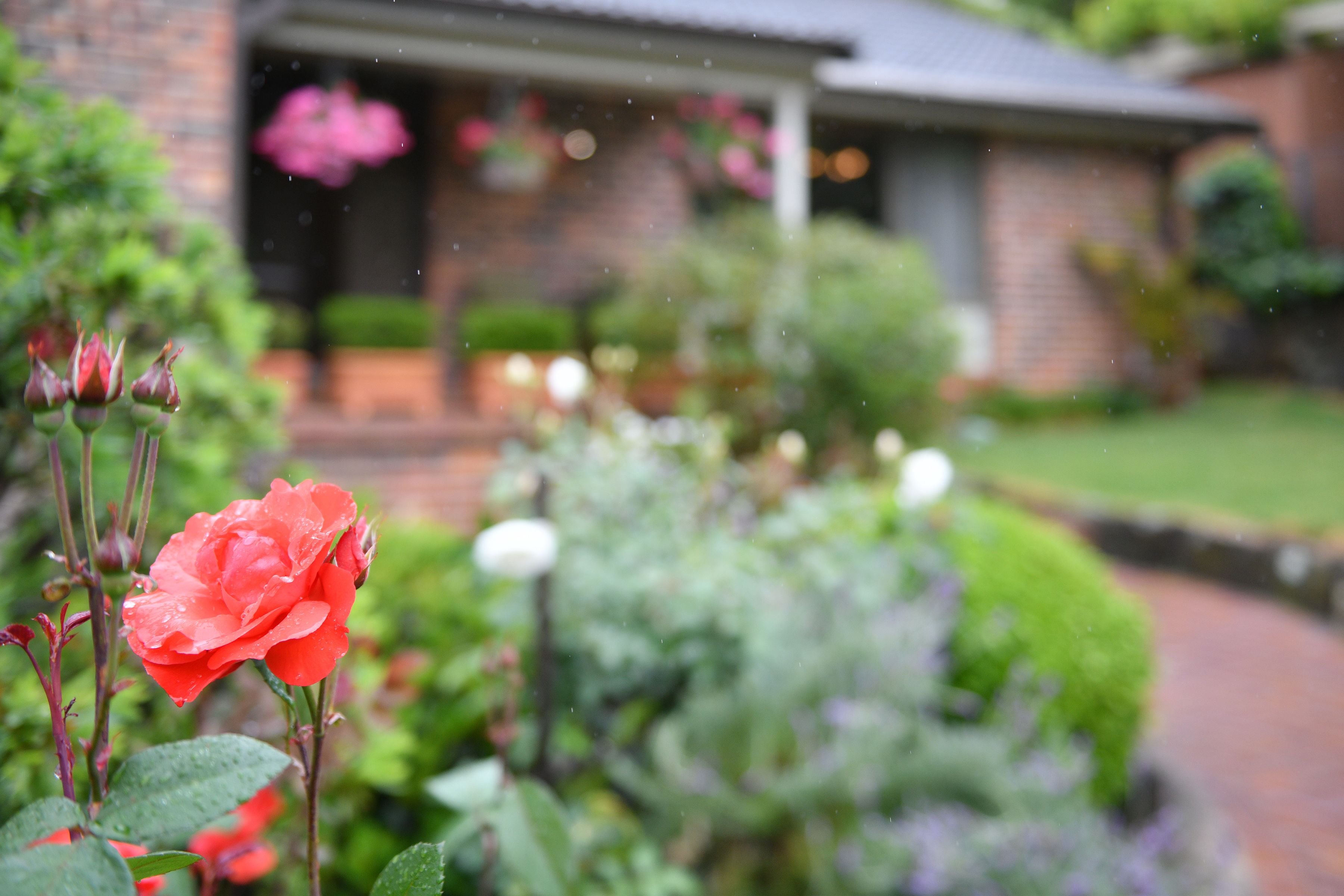 23 Duneba Drive, Westleigh, NSW 2120