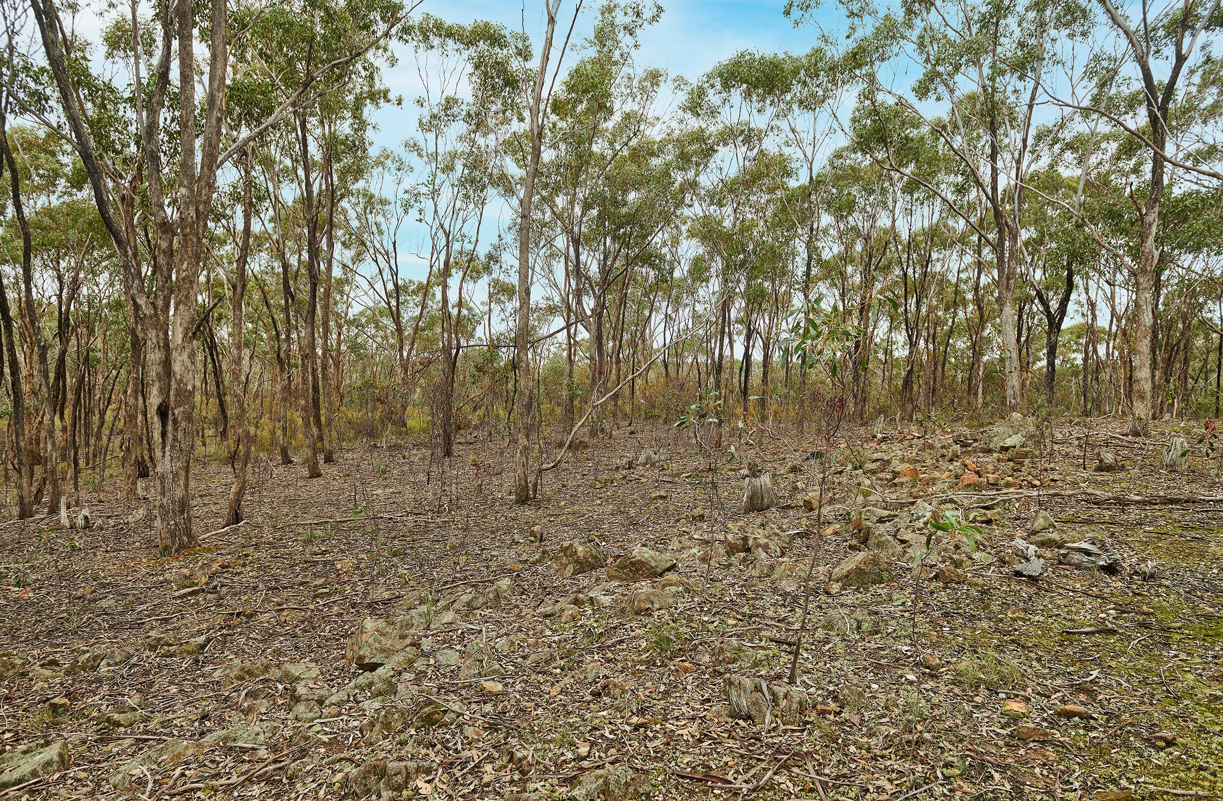 Lot C.A 28 Nicholsons Lane, Heathcote, VIC 3523