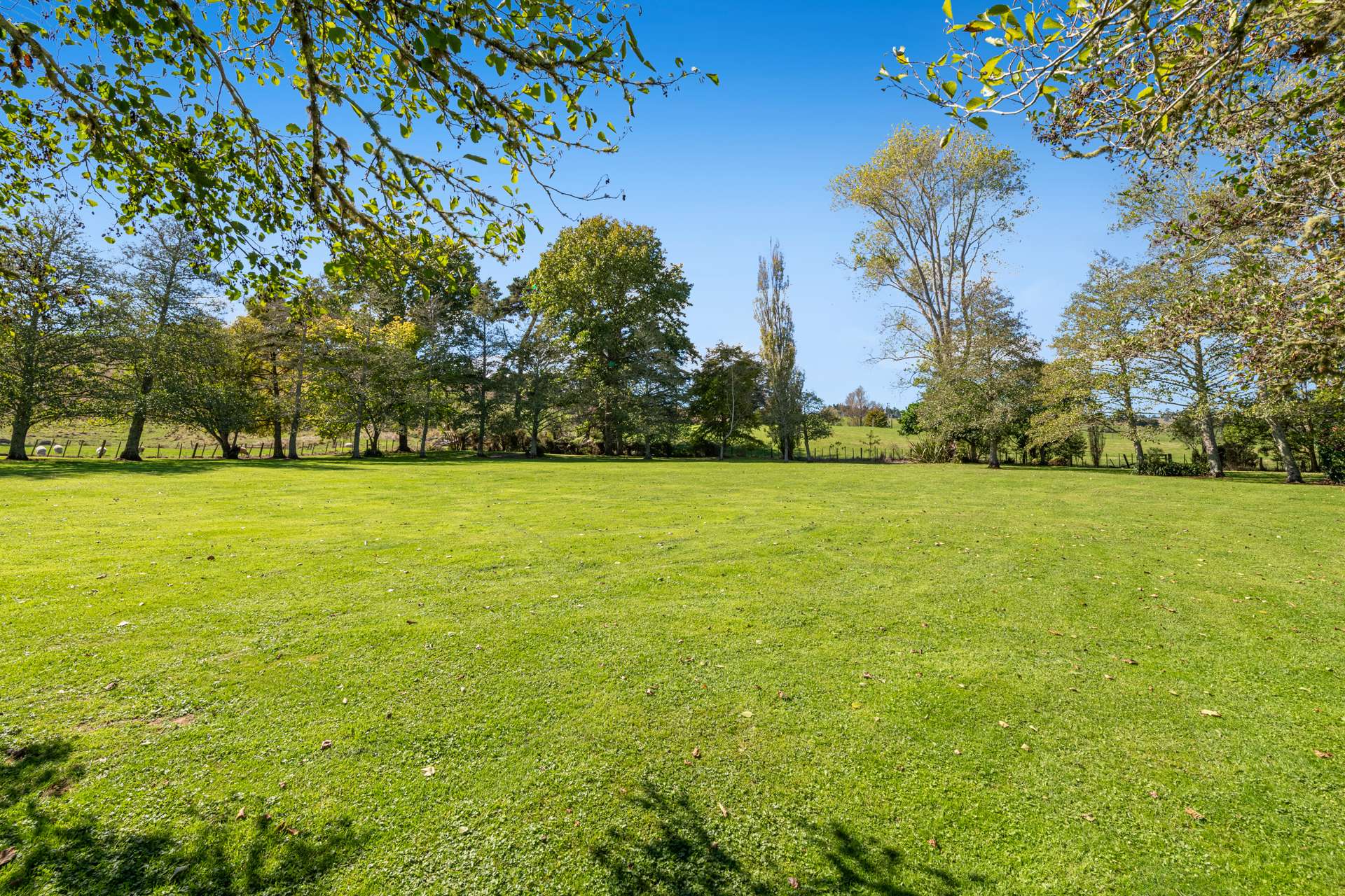 636 Kahikatea Flat Road photo 64