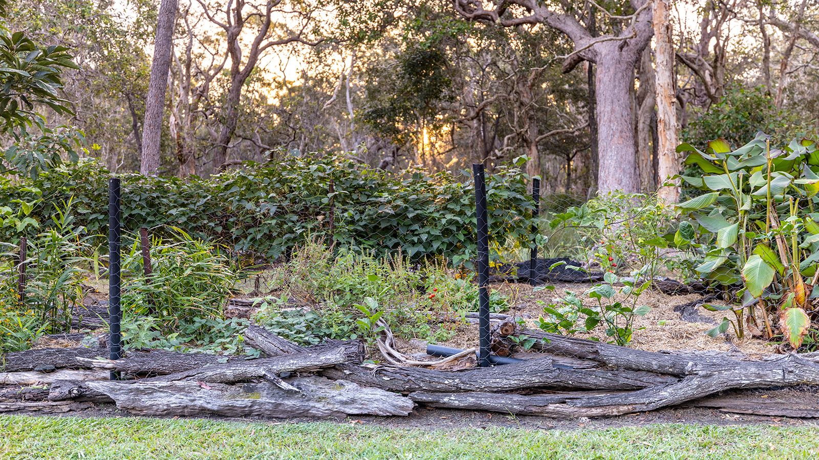 2432 Round Hill Road — photo 12 of 30