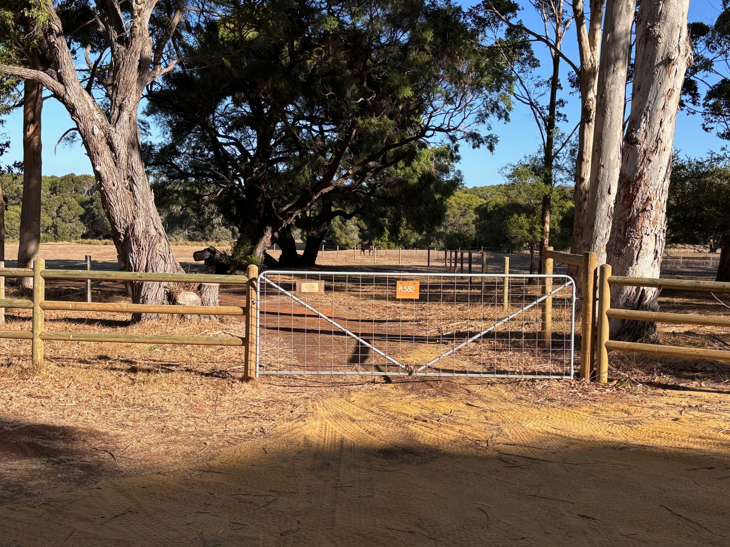 9569 (PL 582) Caves Road, Hamelin Bay, WA 6288