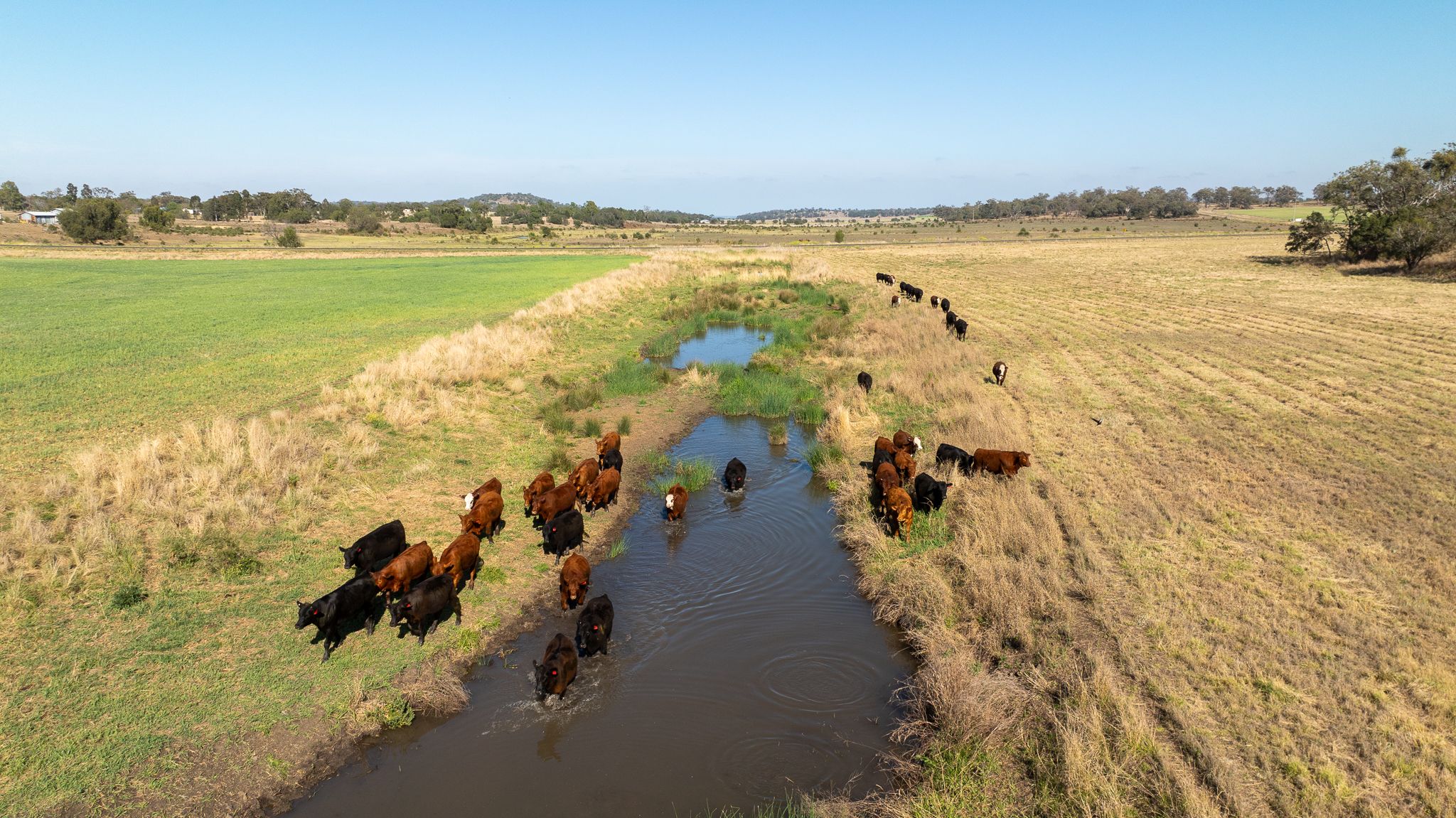 The Butcher's Block 22 Wyangapinni Road, Stoneleigh, QLD 4356