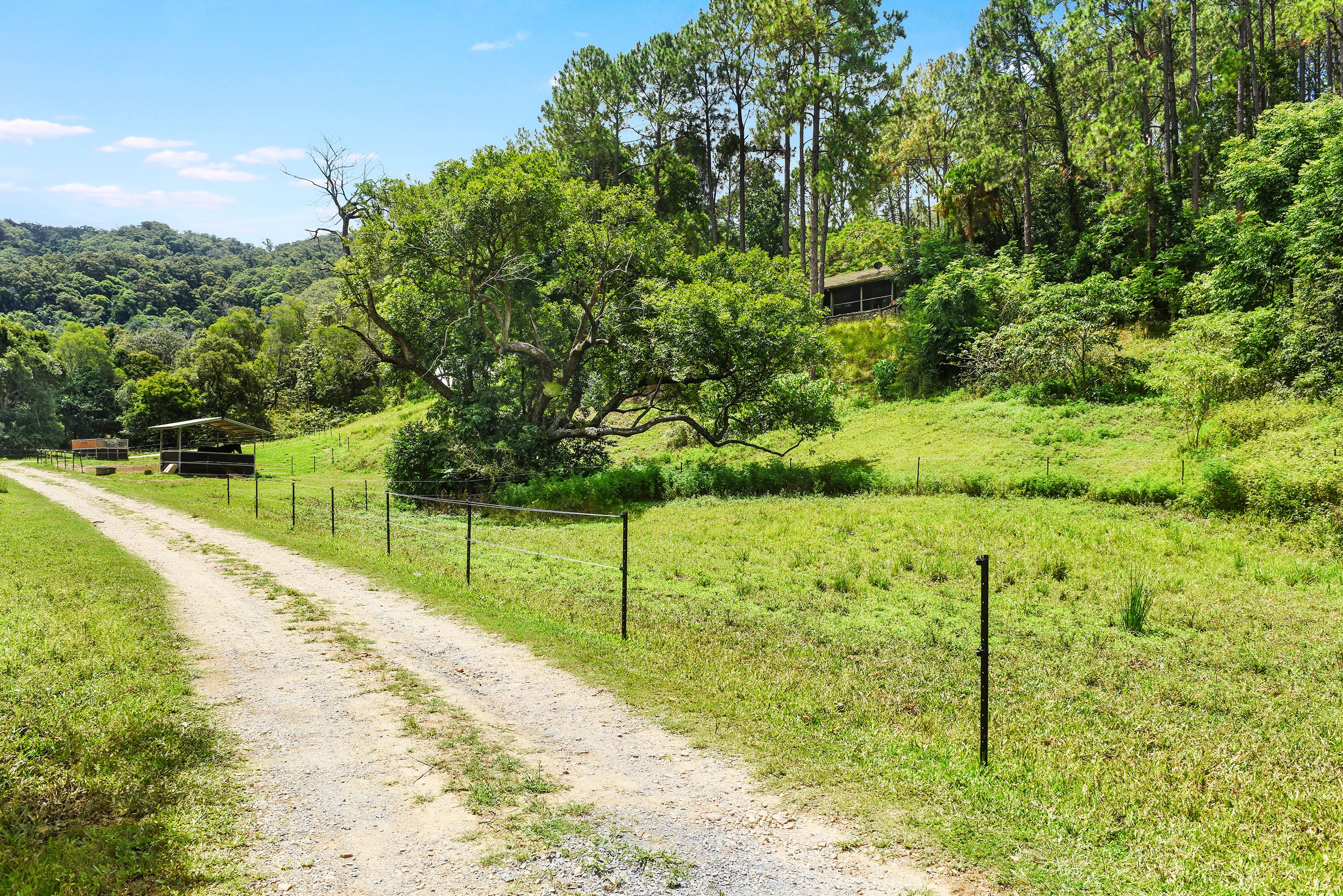 140 Hollindale Road, Guanaba, QLD 4210