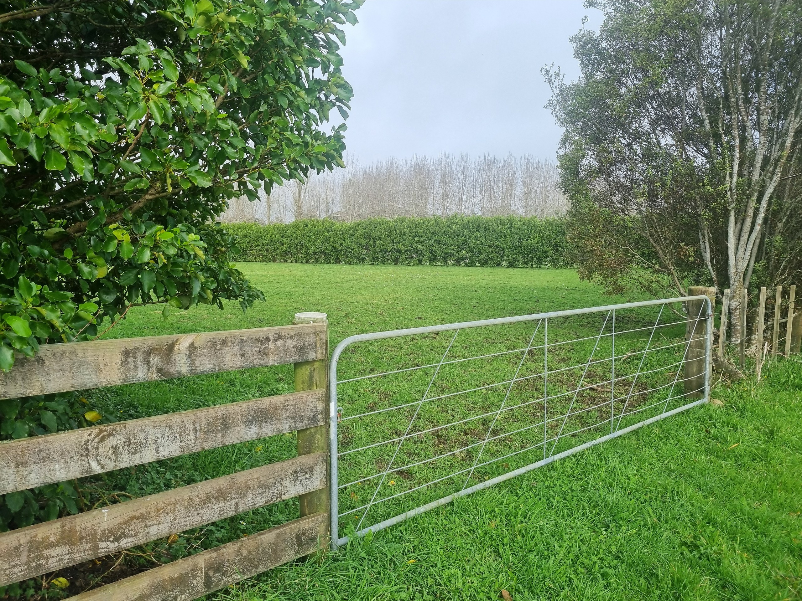 Lot1/0 Waiare Road, Okaihau, Far North District