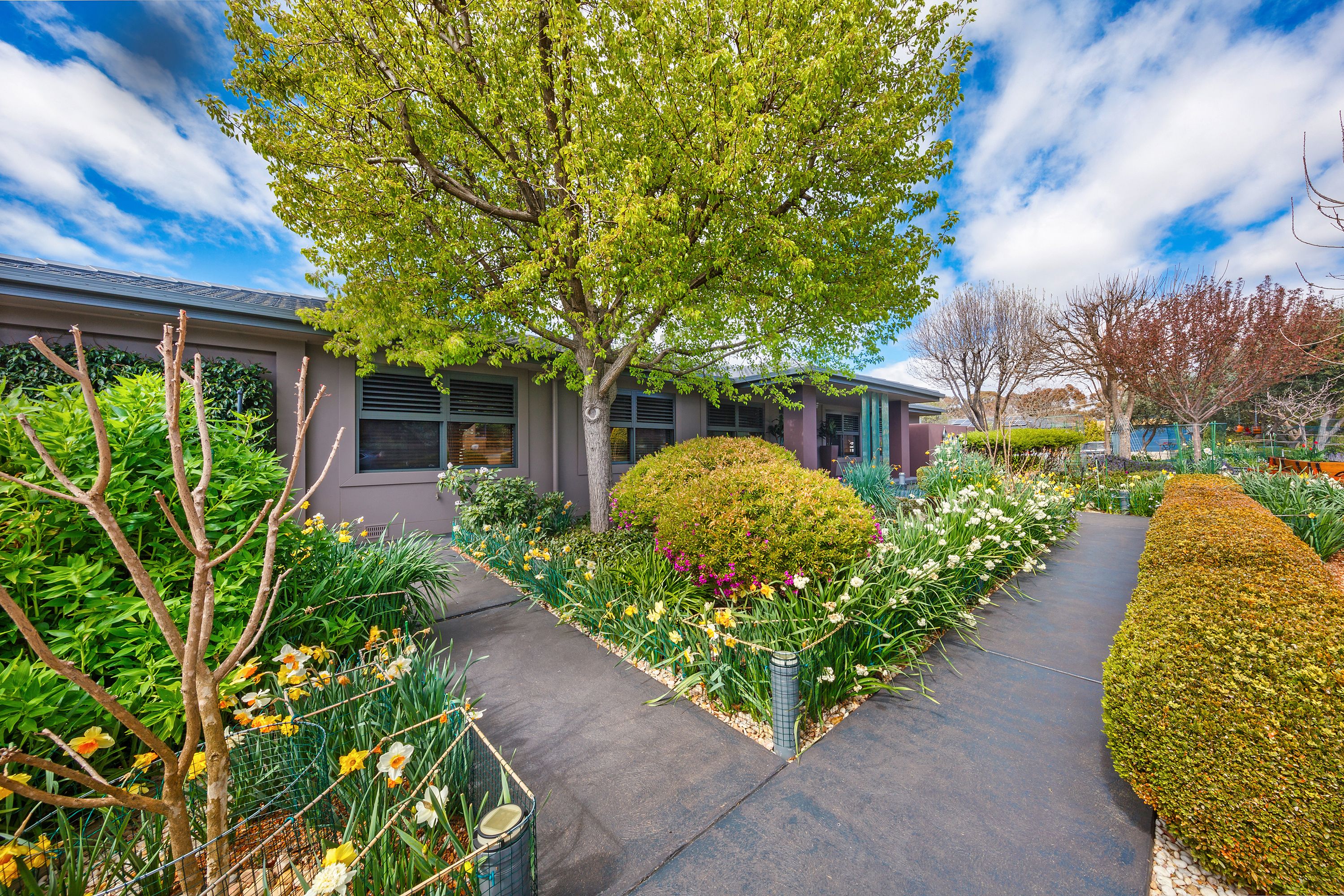 25 Darmody Street, Weetangera, ACT 2614