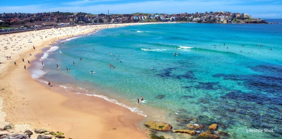 151-153 Blair Street, North Bondi, NSW 2026