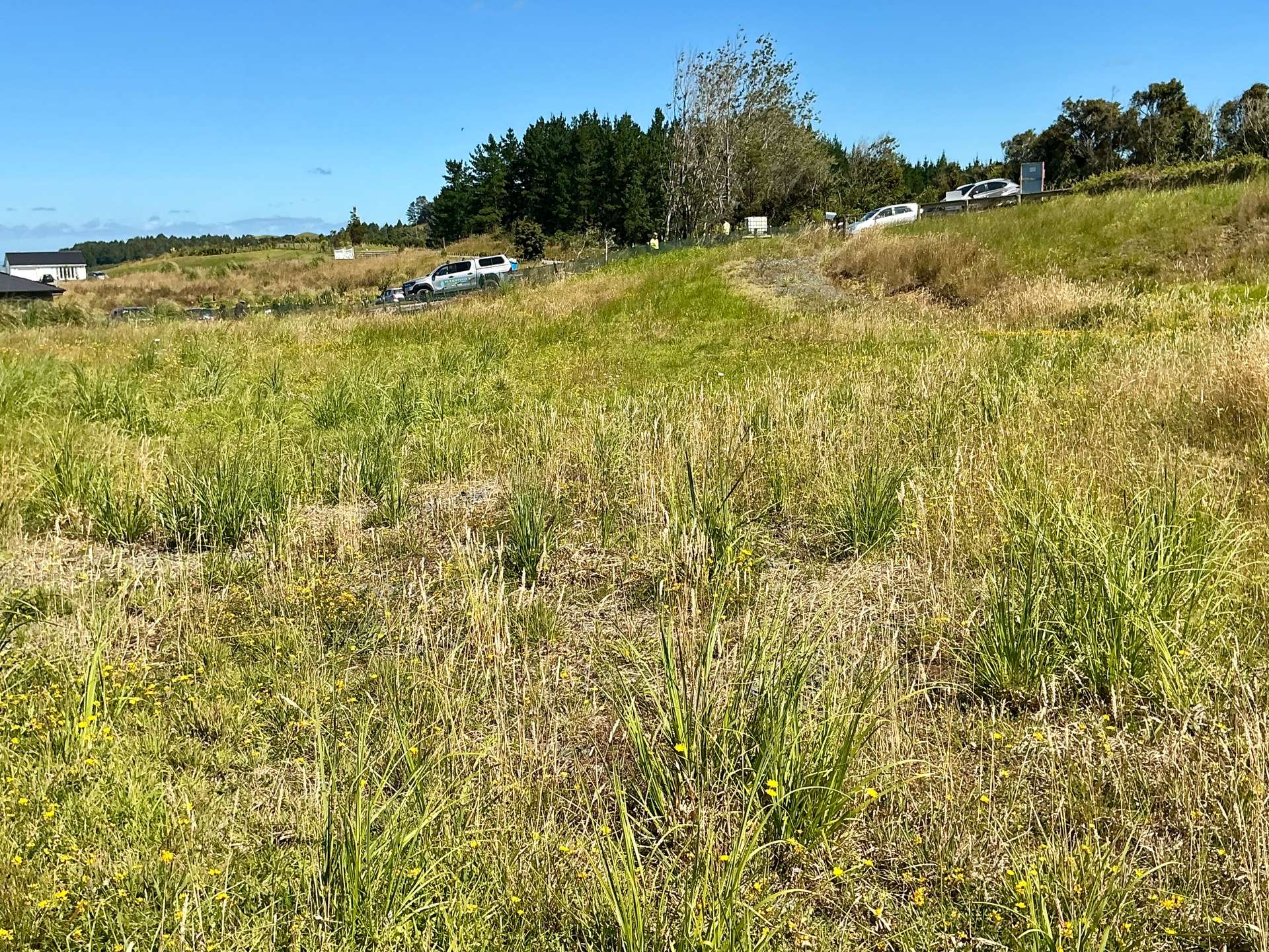 1391 Kaipara Hills Road photo 8