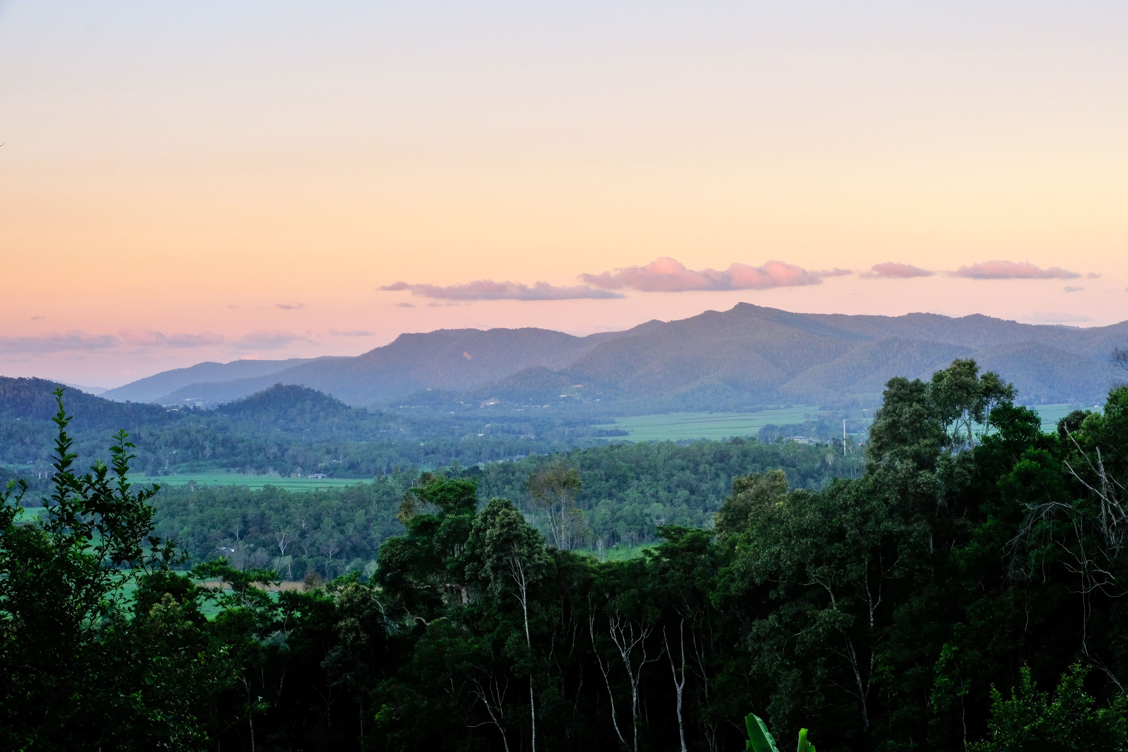 187 Camille Drive, Strathdickie, QLD 4800
