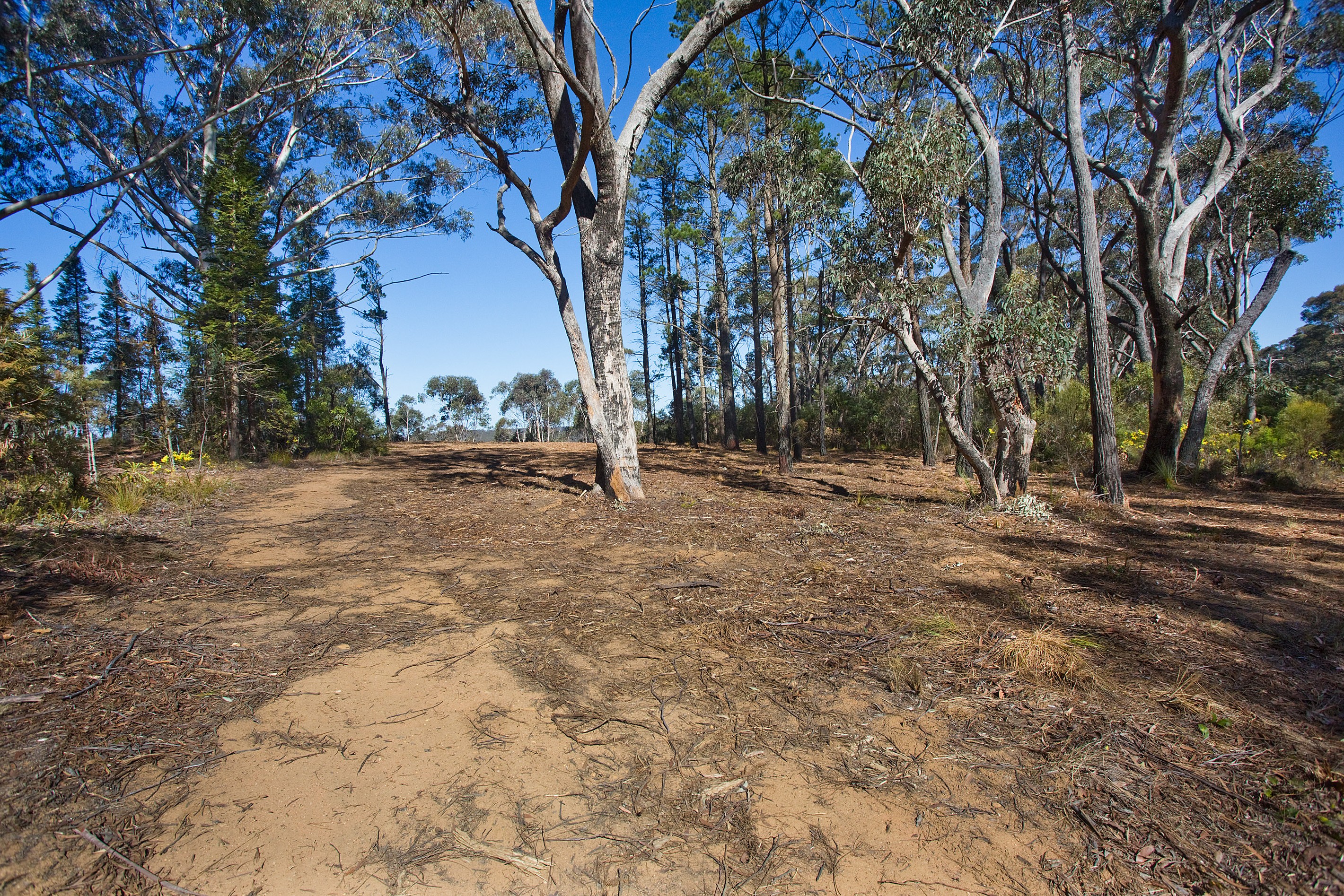 195 Evans Lookout Road, Blackheath, NSW 2785