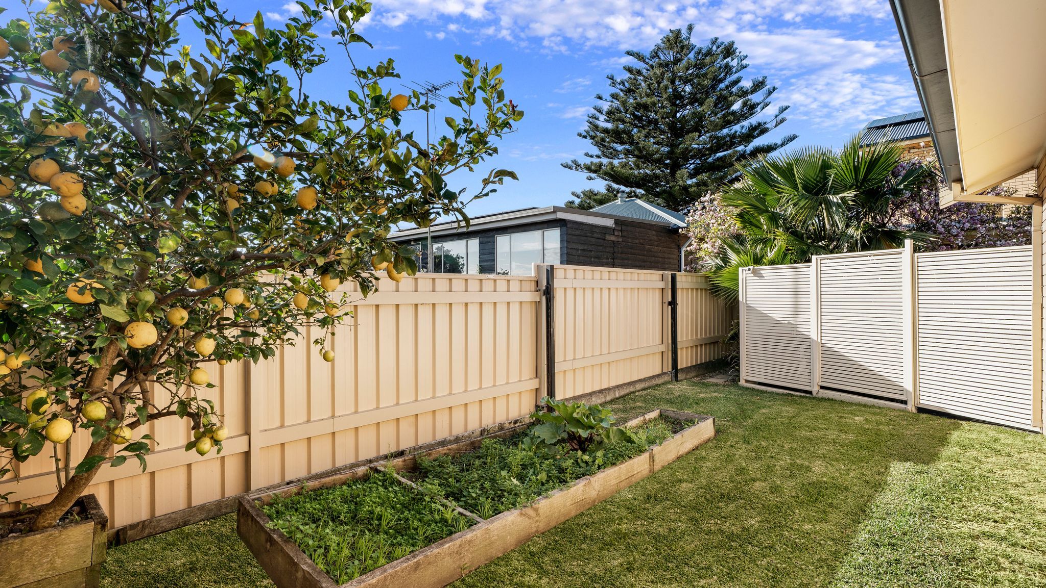 1/16 Holman Street — photo 11 of 11