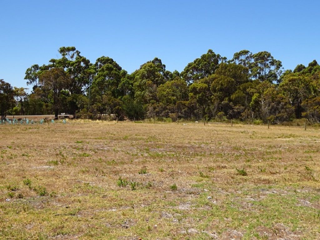 61 Triggerplant Loop, Denmark, WA 6333