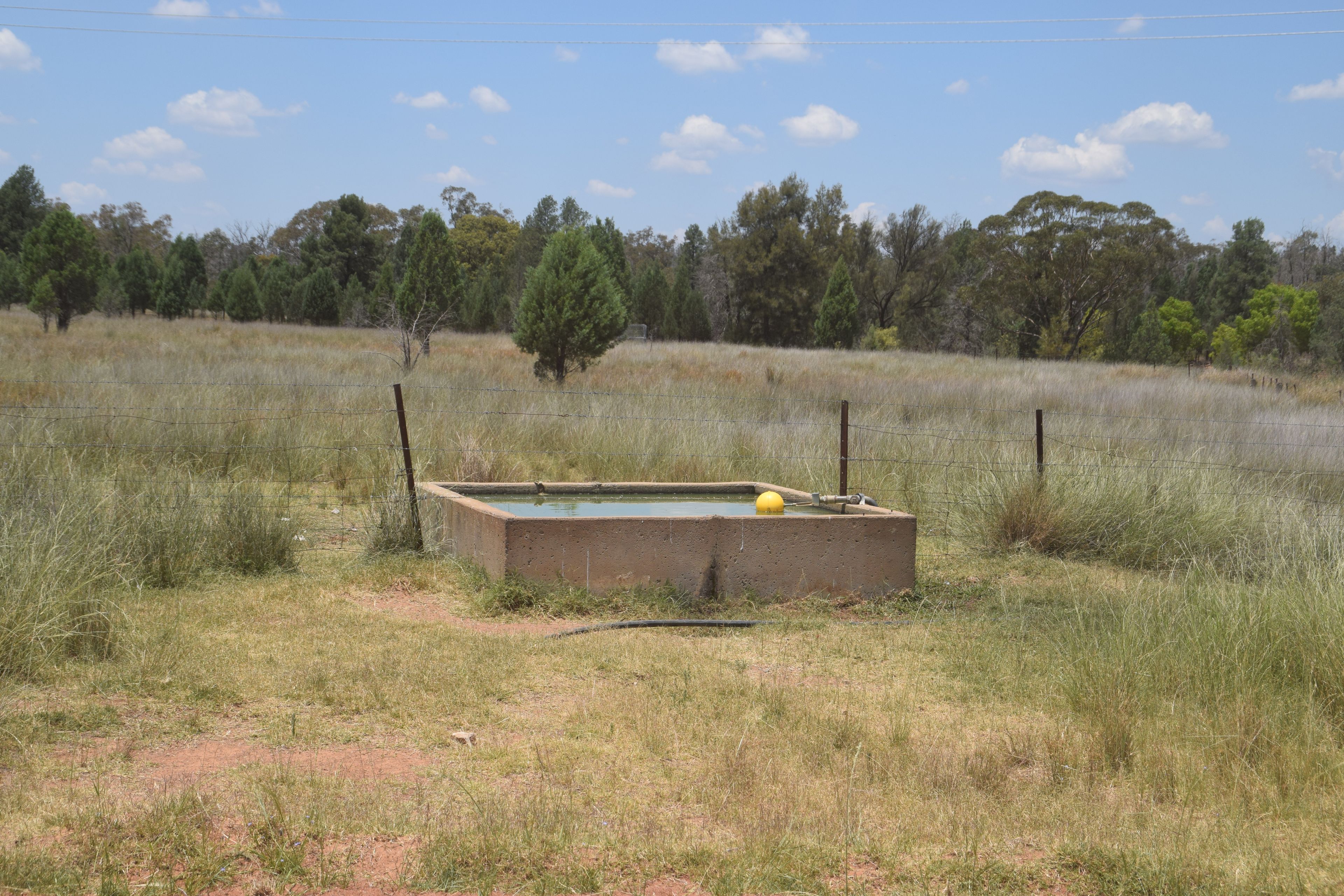 'Illapa' 238L Narromine Road — photo 21 of 30