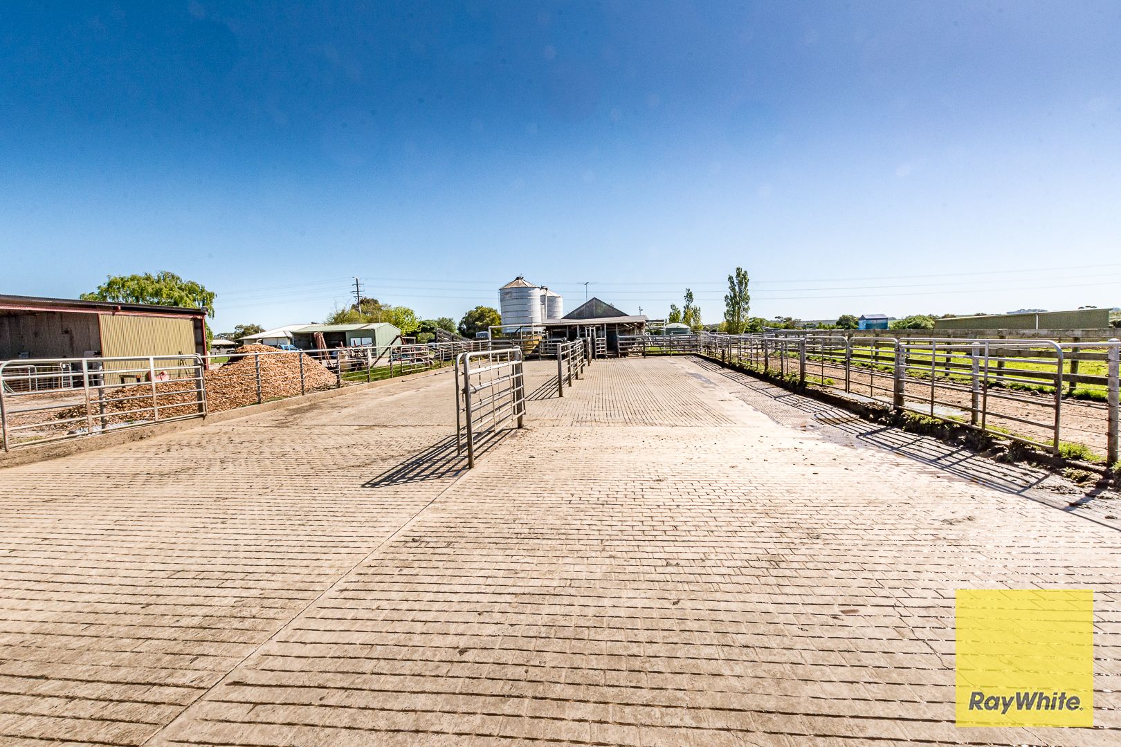 Outstanding Dairy Opportunity — photo 18 of 30