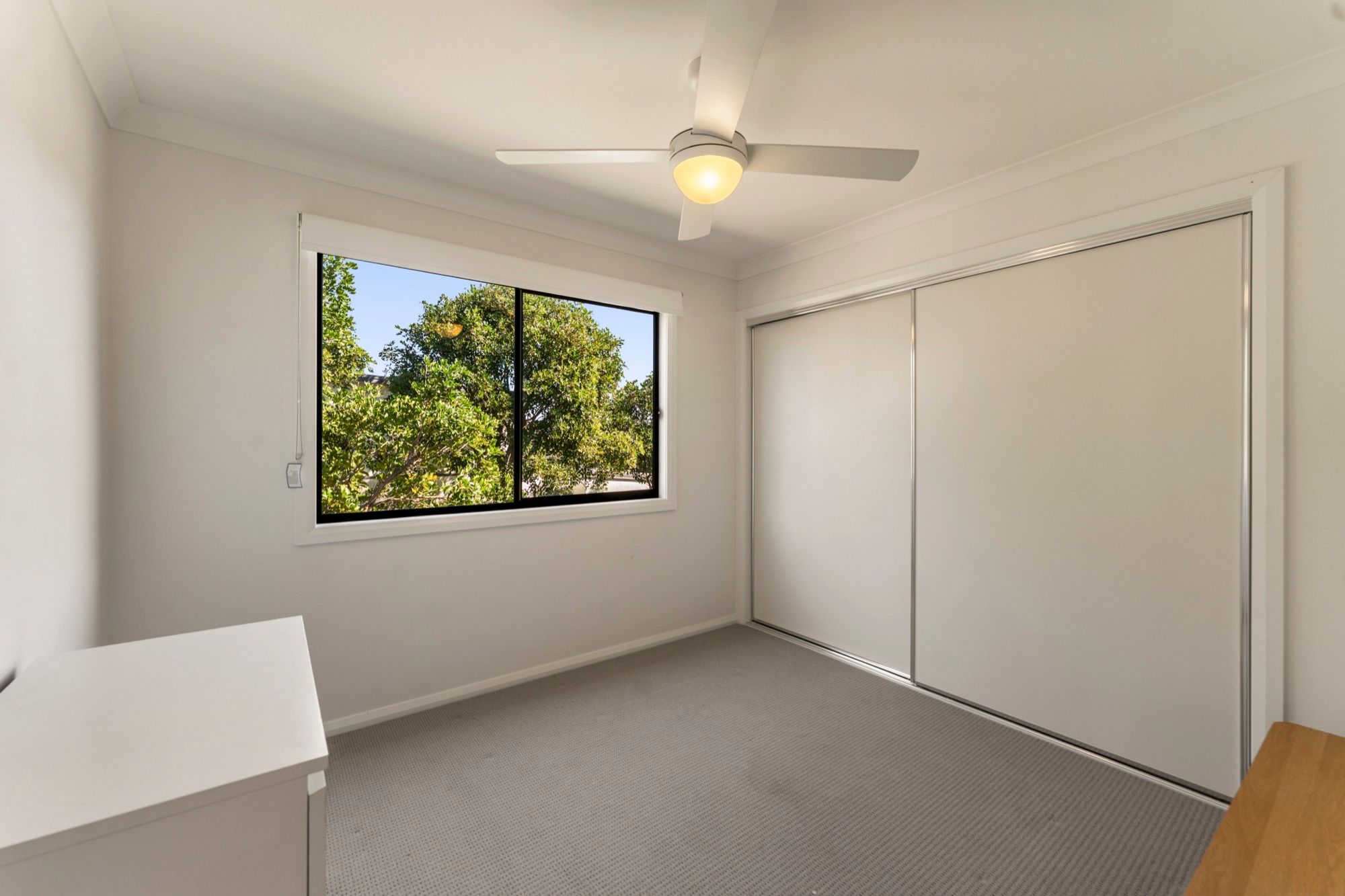33 Napier Avenue — photo 14 of 16