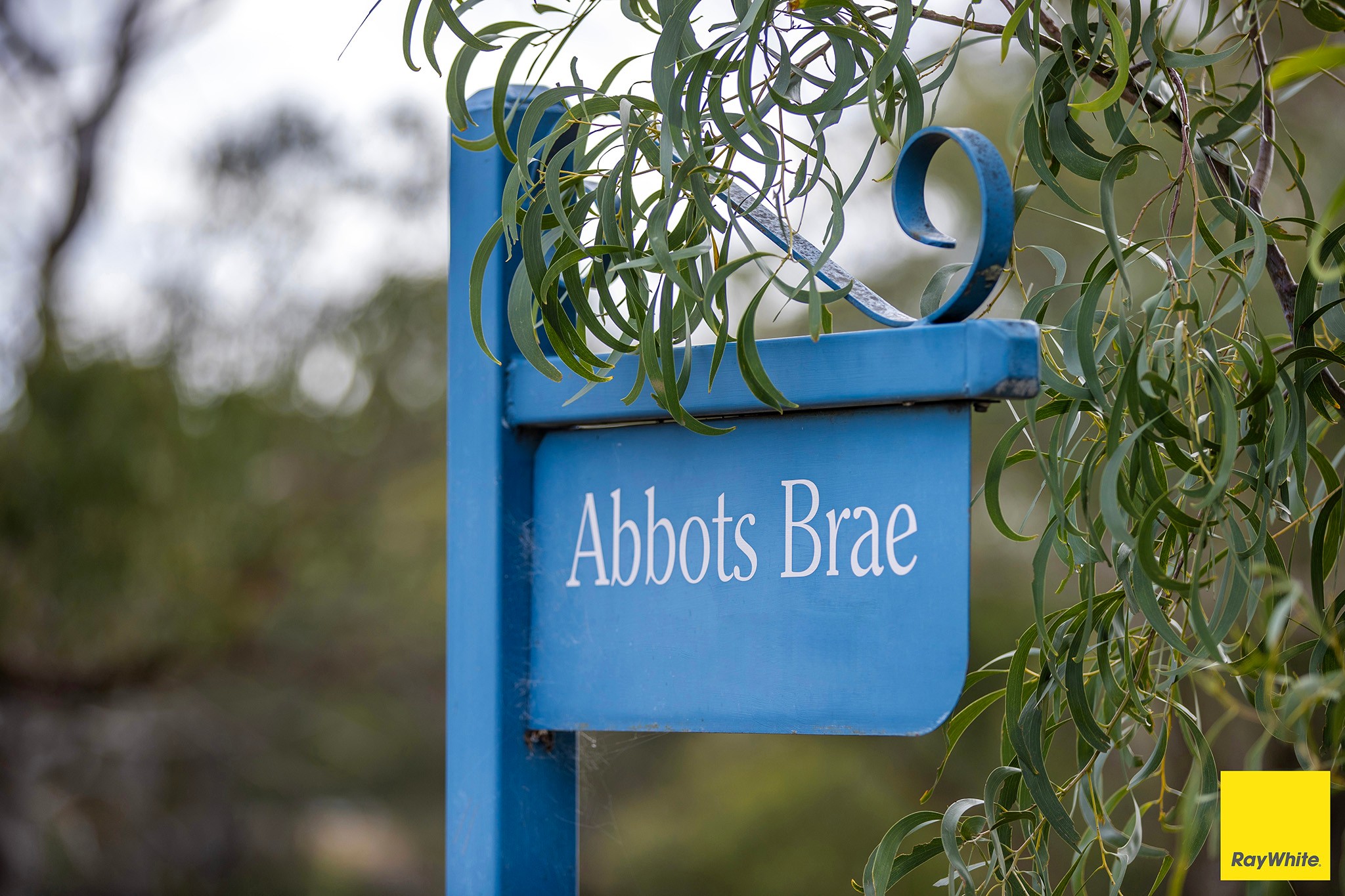 907 Puddledock Road, Puddledock, NSW 2350