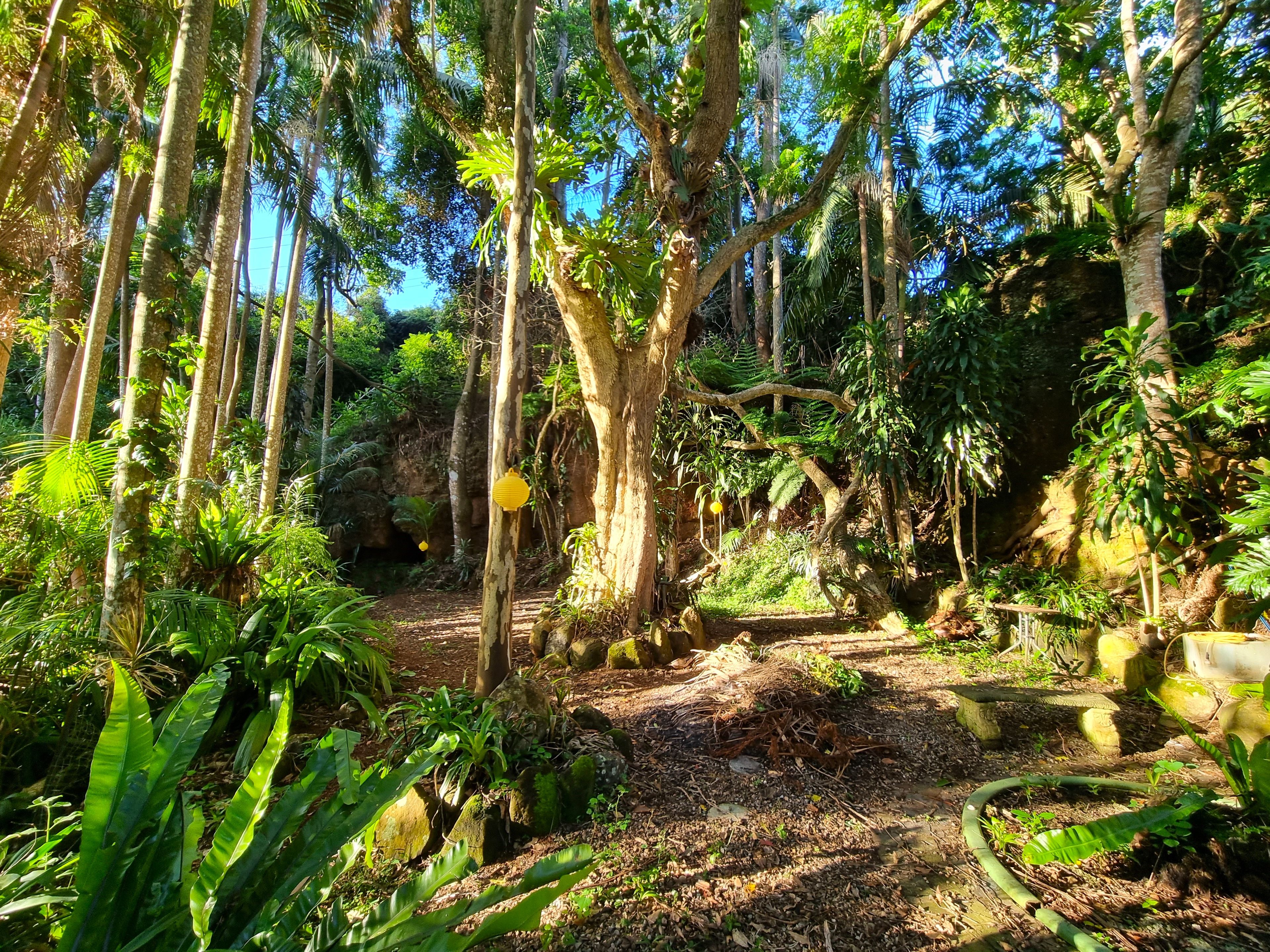 186196 Beacon Road, Tamborine Mountain, QLD 4272 House for Sale