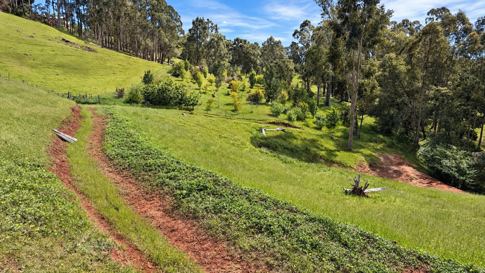 21 Rosella Rise — photo 10 of 10