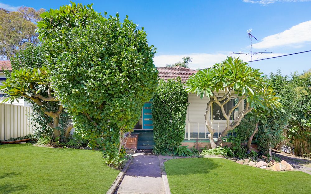 37 George Street — photo from Ray White Macarthur Group