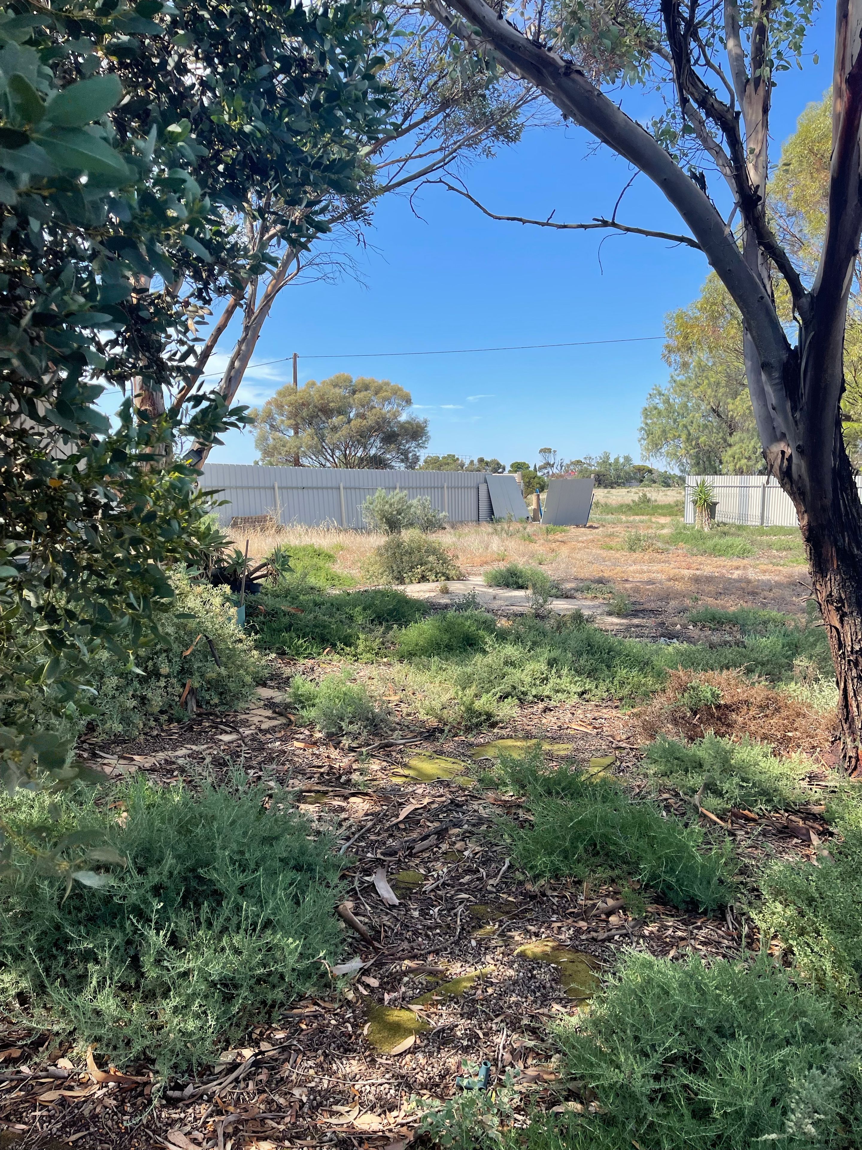 Lot 2 Davidson Road, Jericho, SA 5554