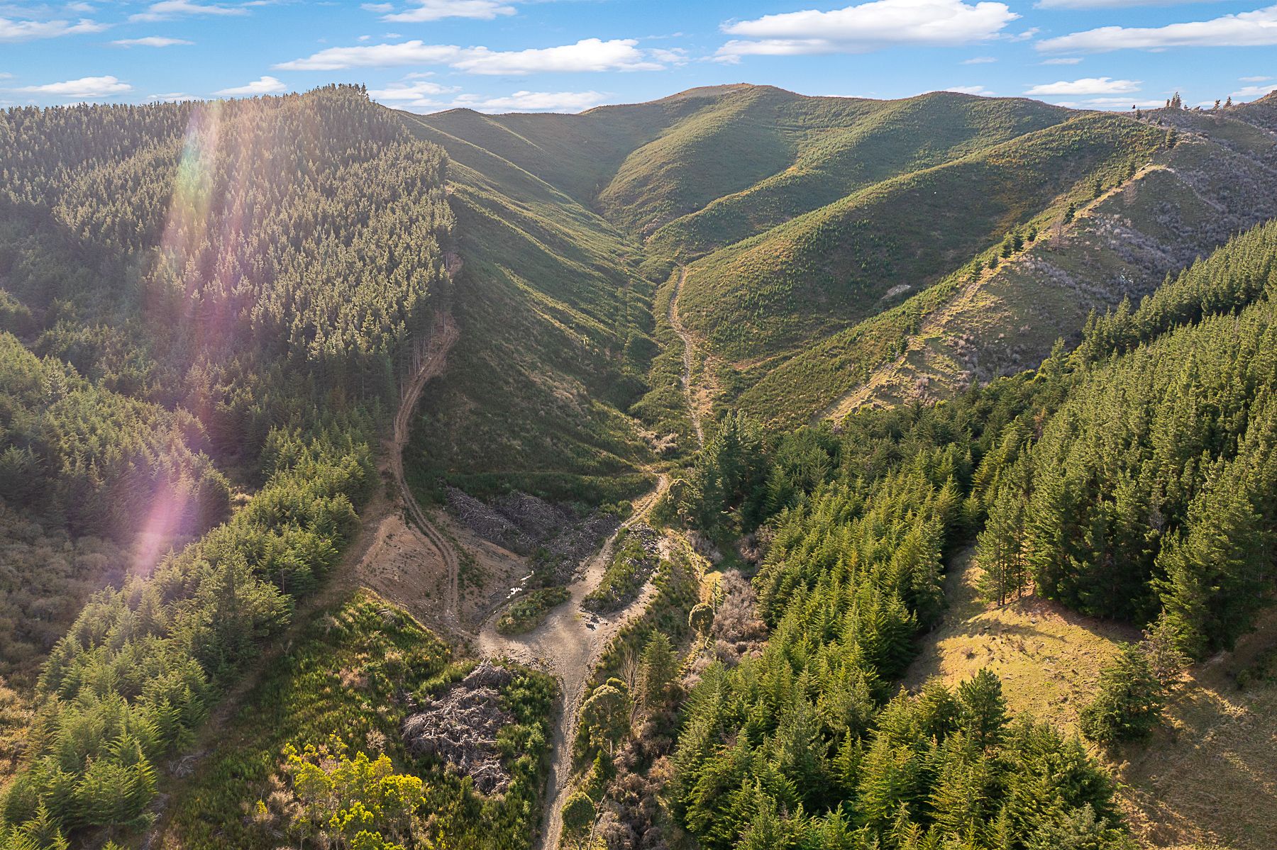 945 Taylor Pass Road, Blenheim, Marlborough 7201 Rural Forestry