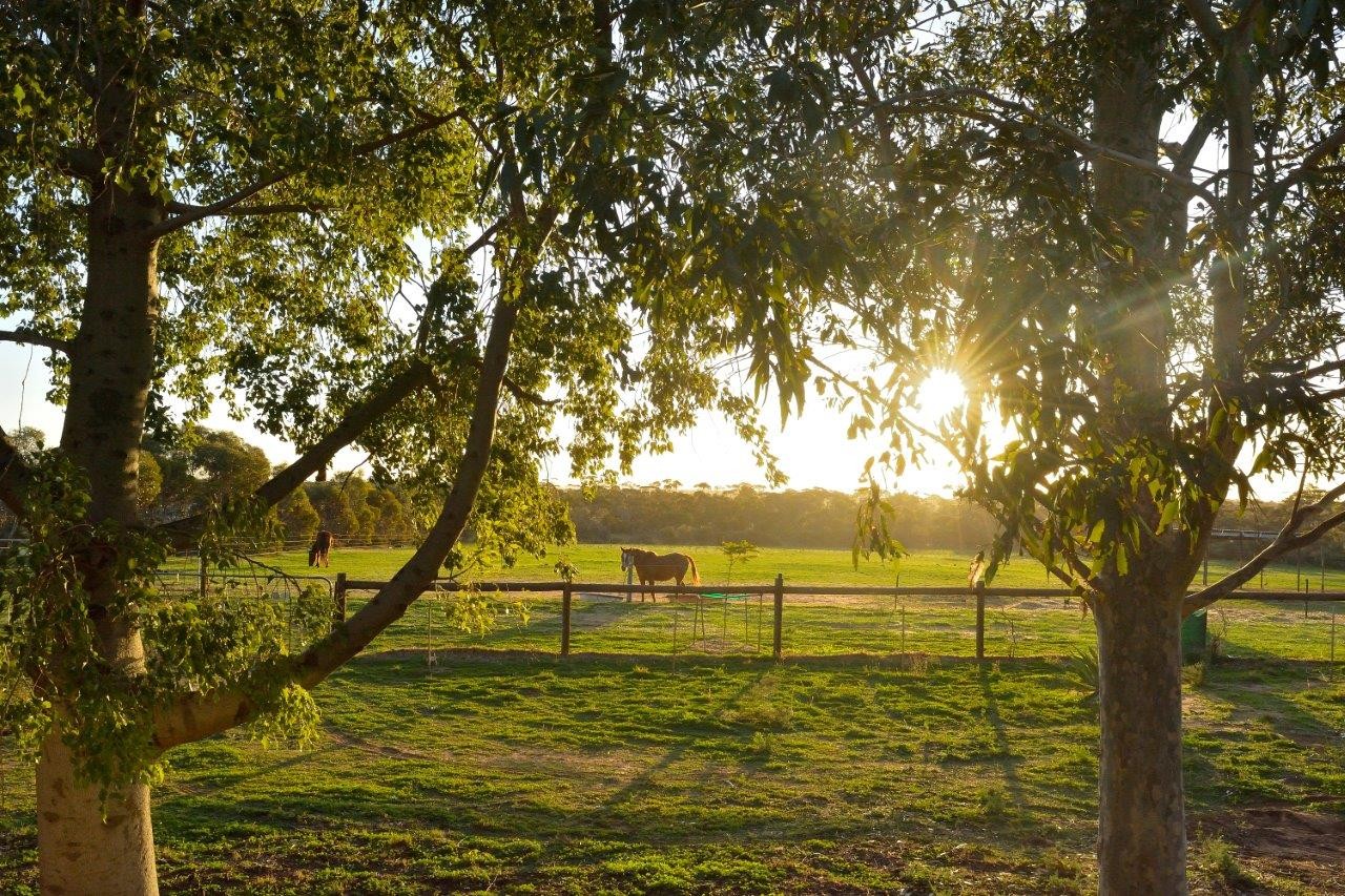 18 Stone Reserve Road, Halbury, SA 5461