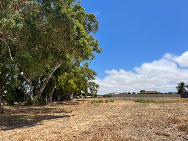 53 Broome Street, Spalding, WA 6530
