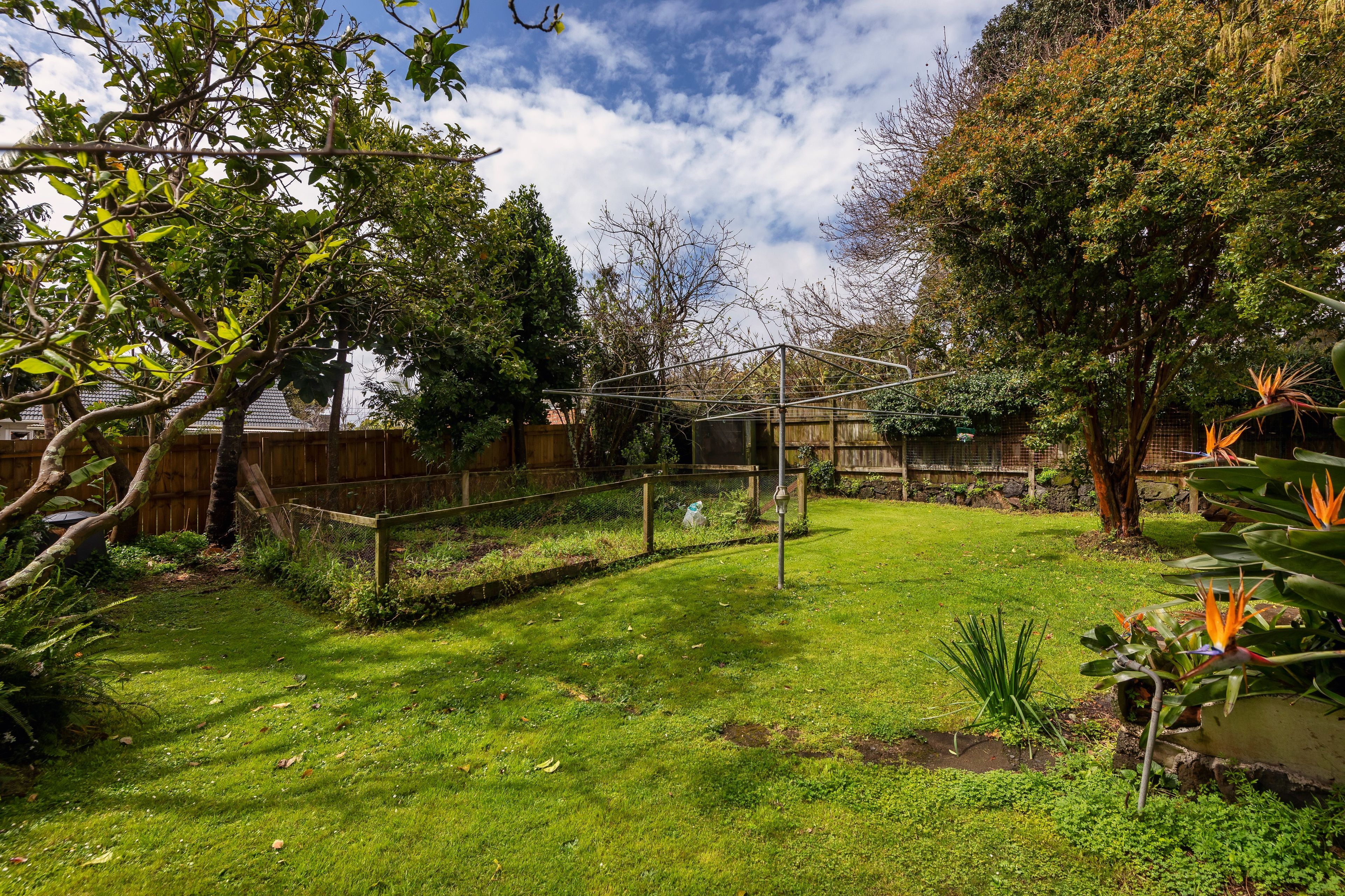 5 Leone Terrace, Mount Albert, Auckland City