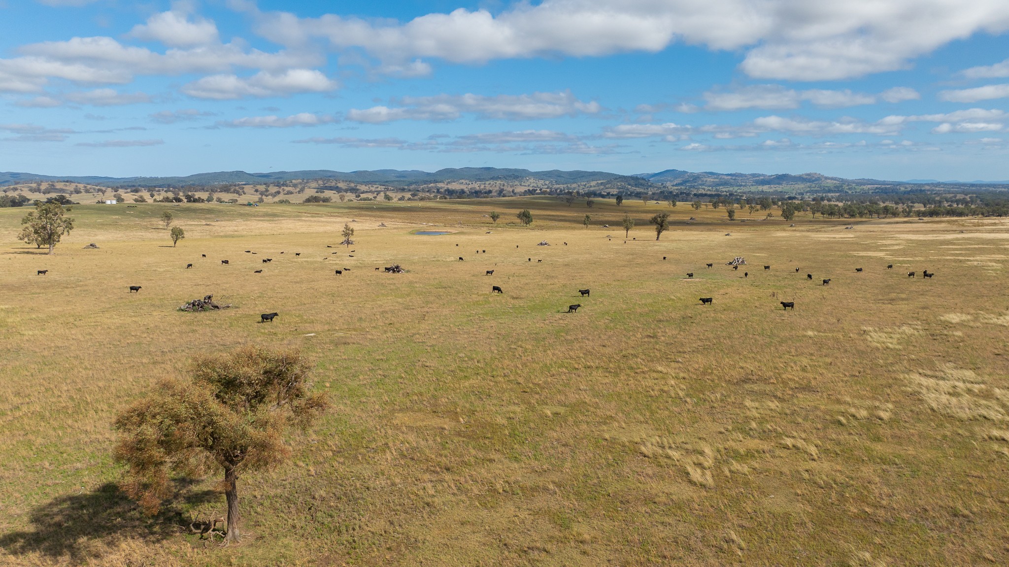 'Jacksons Block' Bendemeer Road, Uralla, NSW 2358