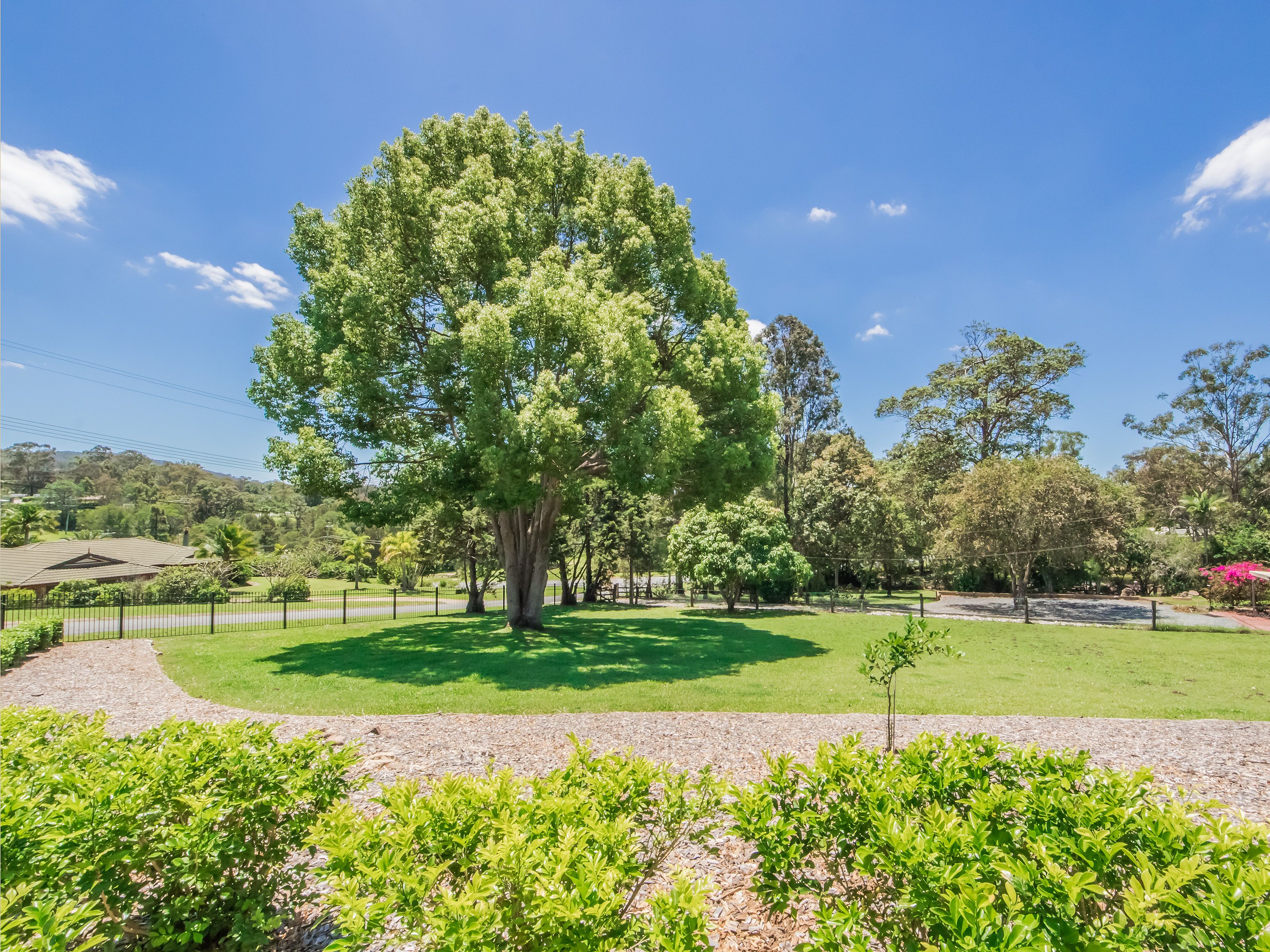 4 Asher Court, Upper Coomera QLD 4209