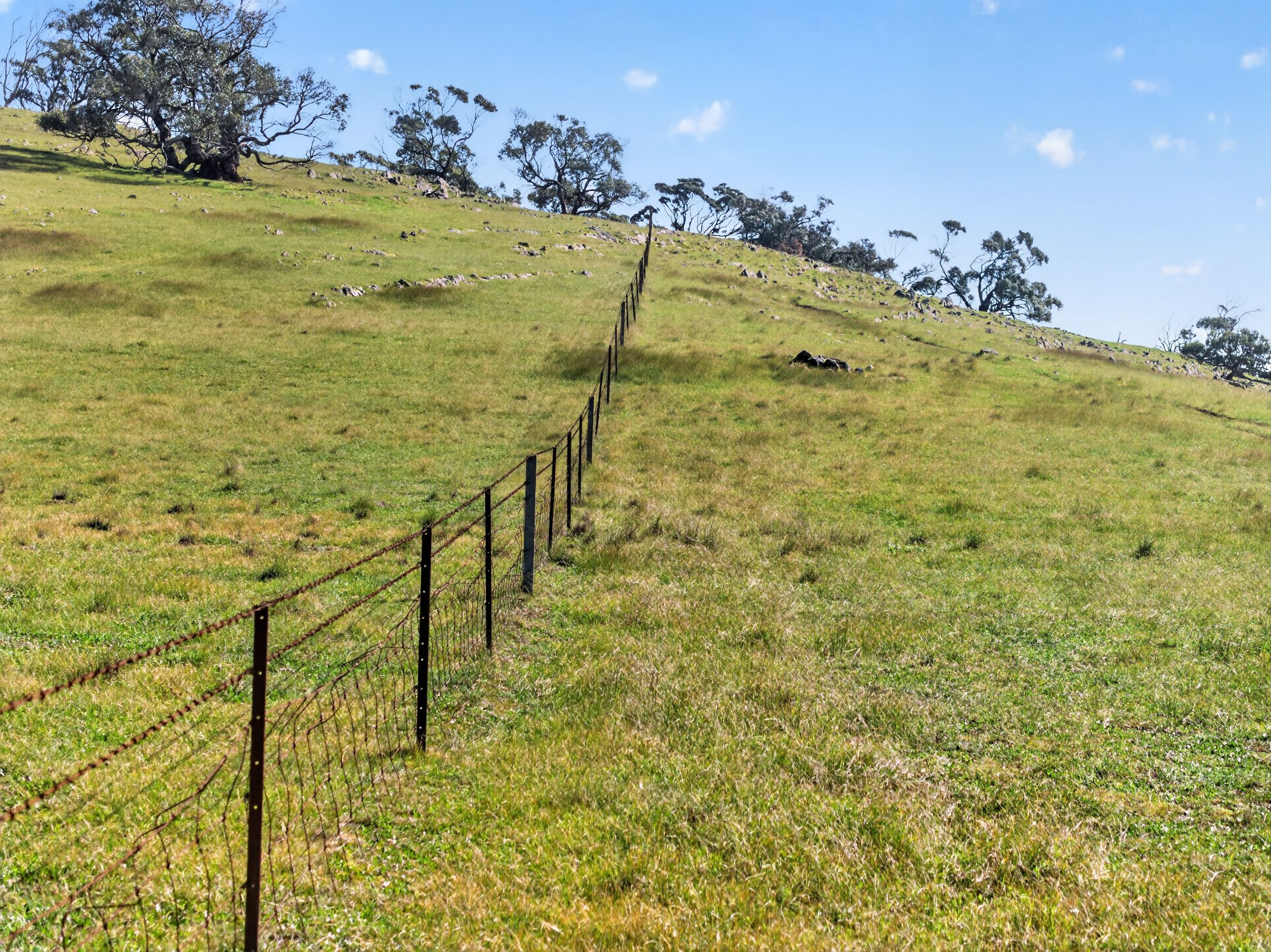 'Preamimma' Preamimma Road — photo 10 of 17