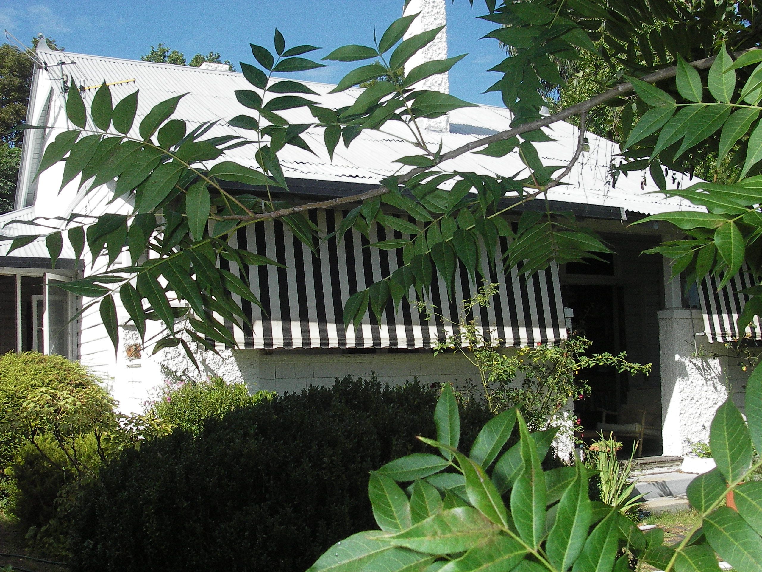 5 Torrington Street