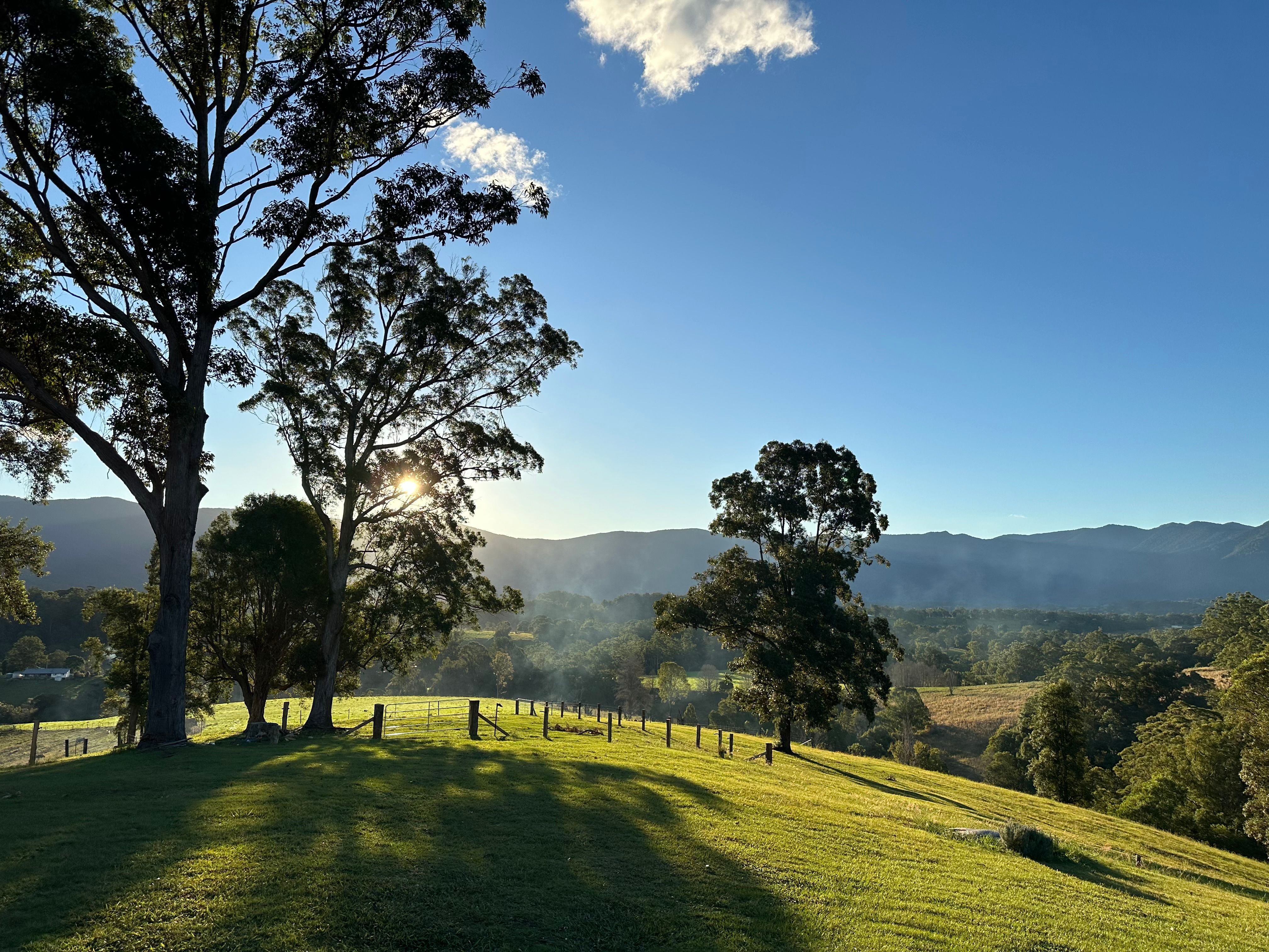 Brays Creek, NSW 2484