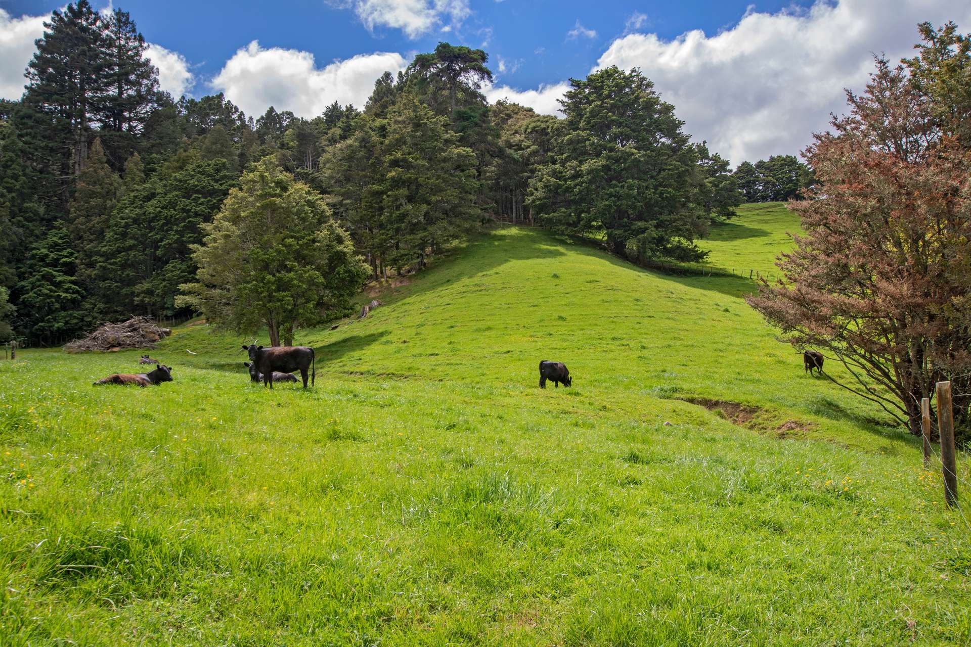 1366 Hukerenui Road photo 29