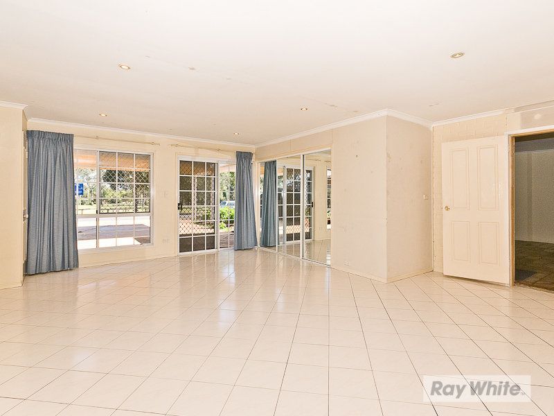 19 David Street, Bracken Ridge, QLD 4017