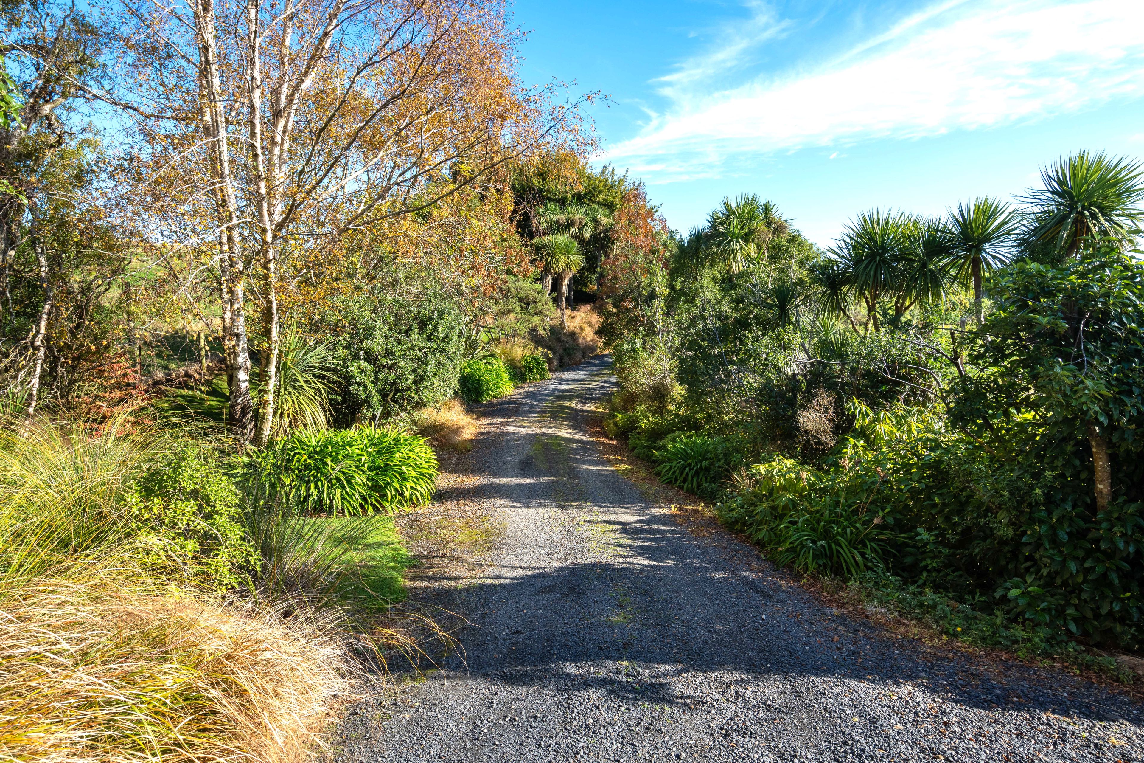 112 Green Island Bush Road, Blackhead, Dunedin City