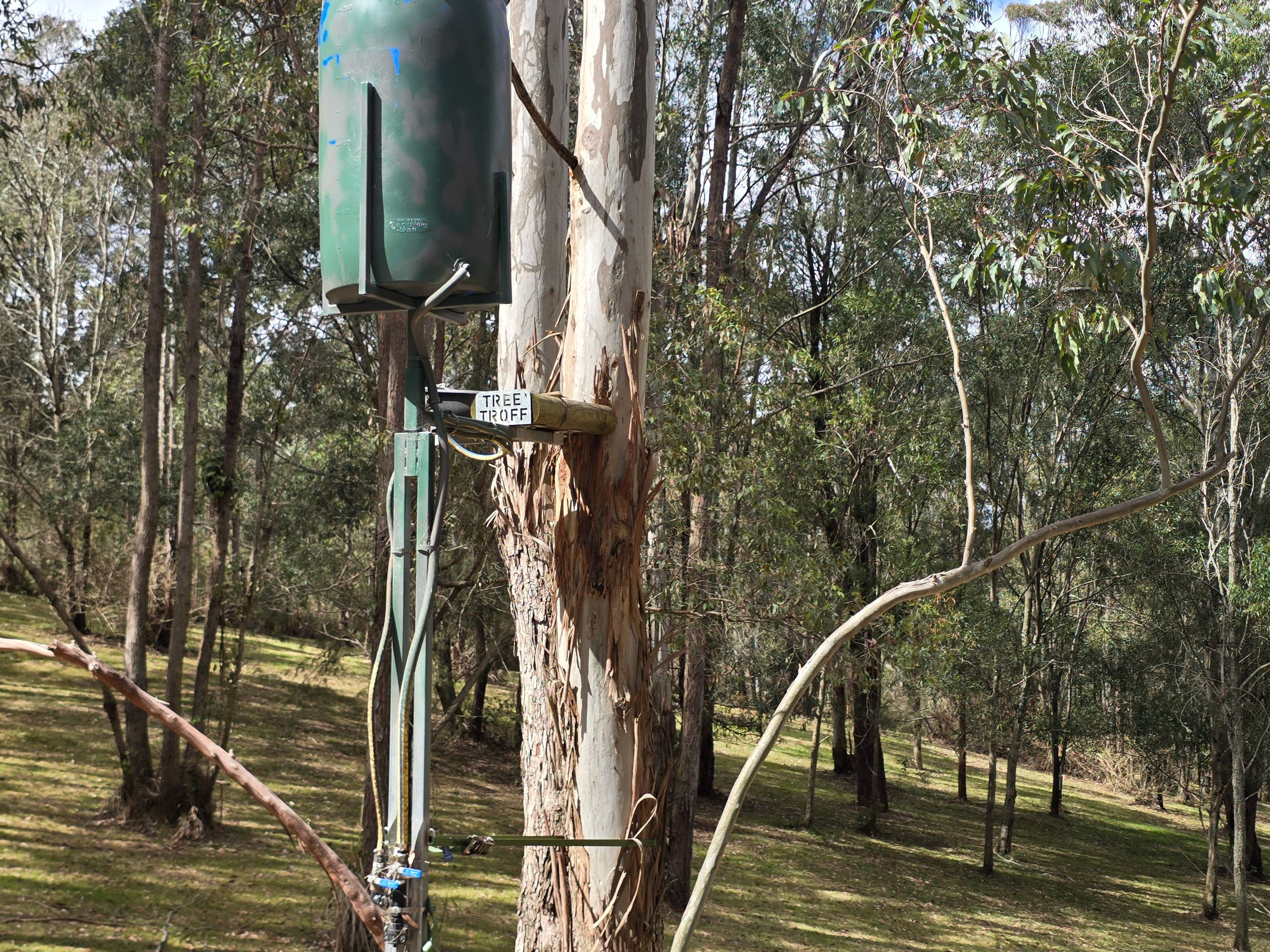 362 Anduramba Road — photo 9 of 17