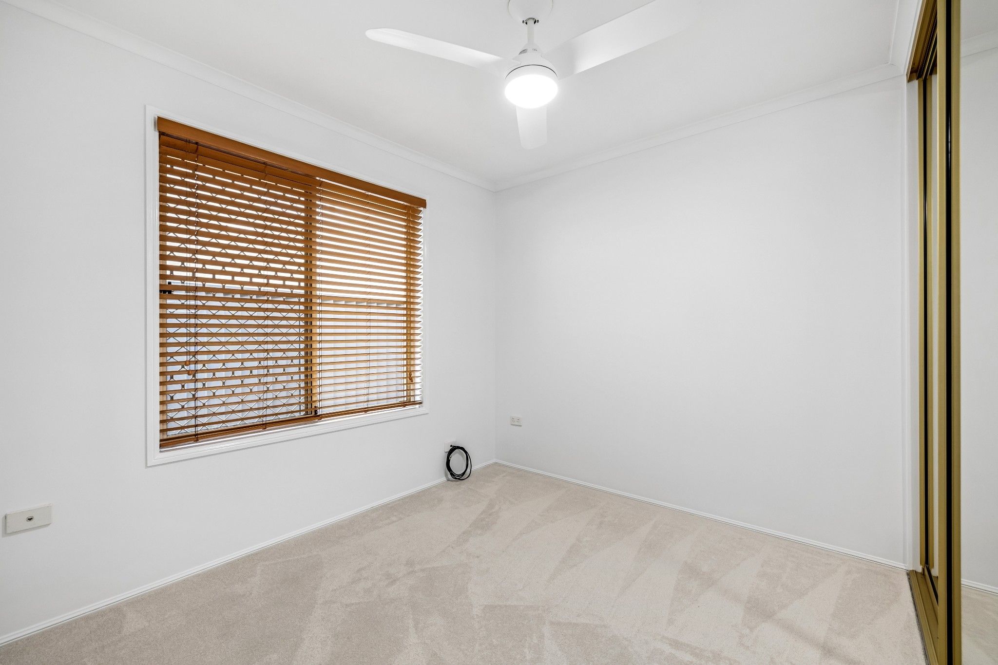 6 Mclennan Street — photo 13 of 29