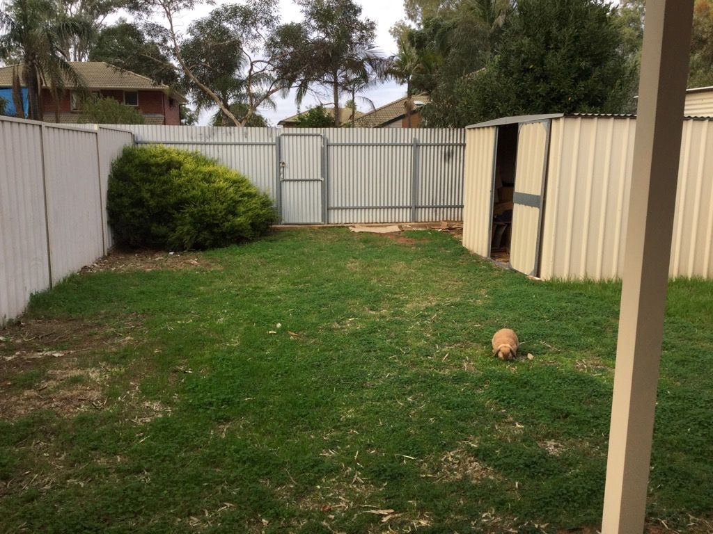 14a Reo Road — photo 11 of 11
