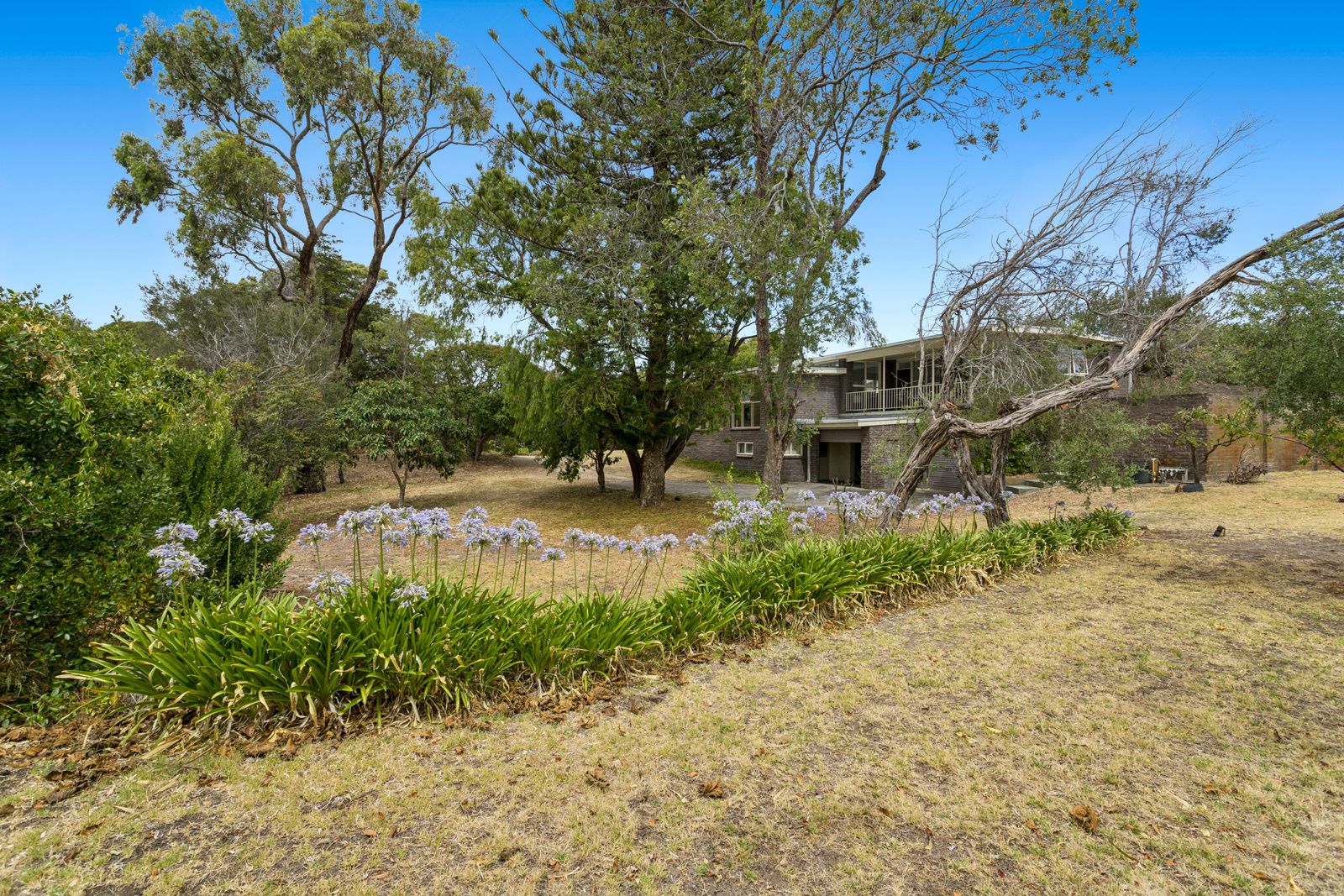 20 Bella Vista Drive, Tootgarook, VIC 3941