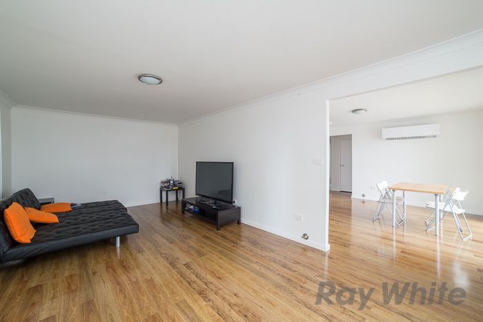 3/17 Marton Street — photo 6 of 12