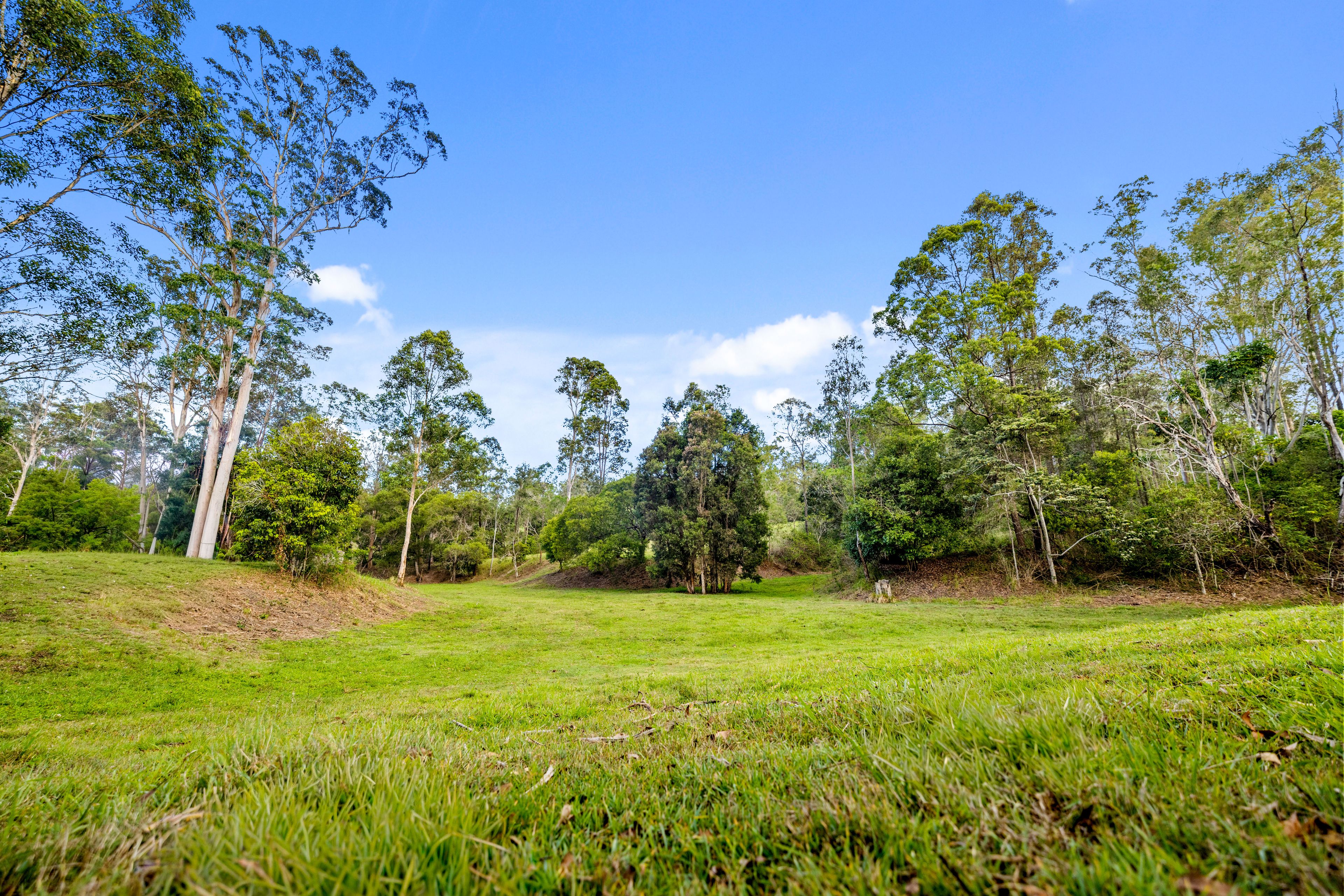 123 Appaloosa Drive — photo 4 of 30